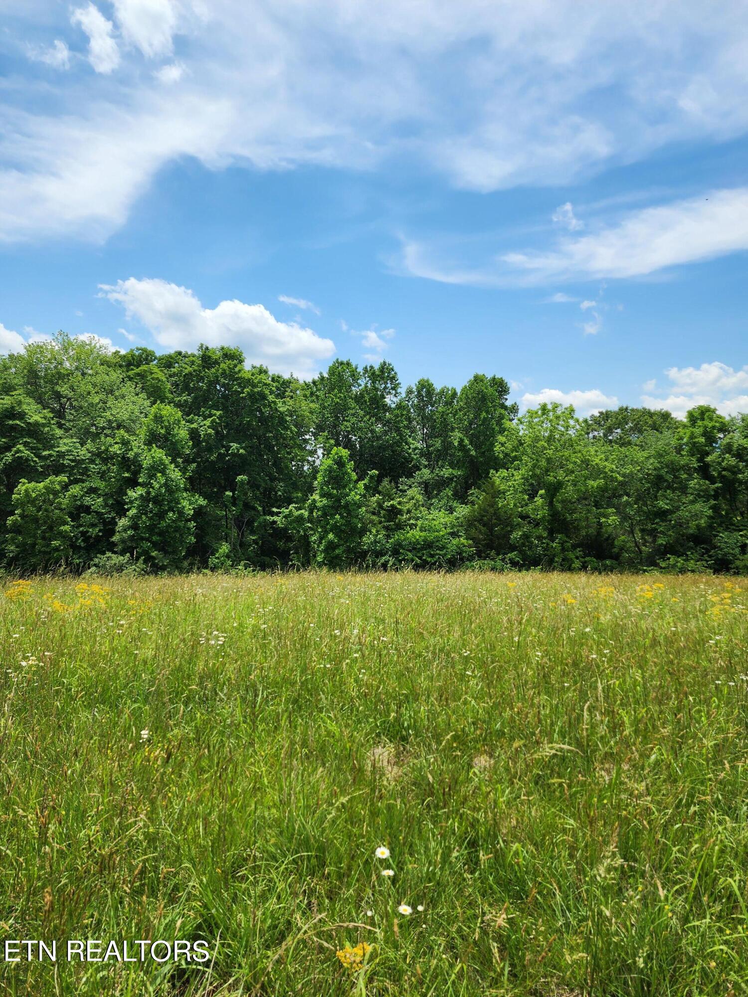 Hiwassee Drive Jacksboro TN 37757