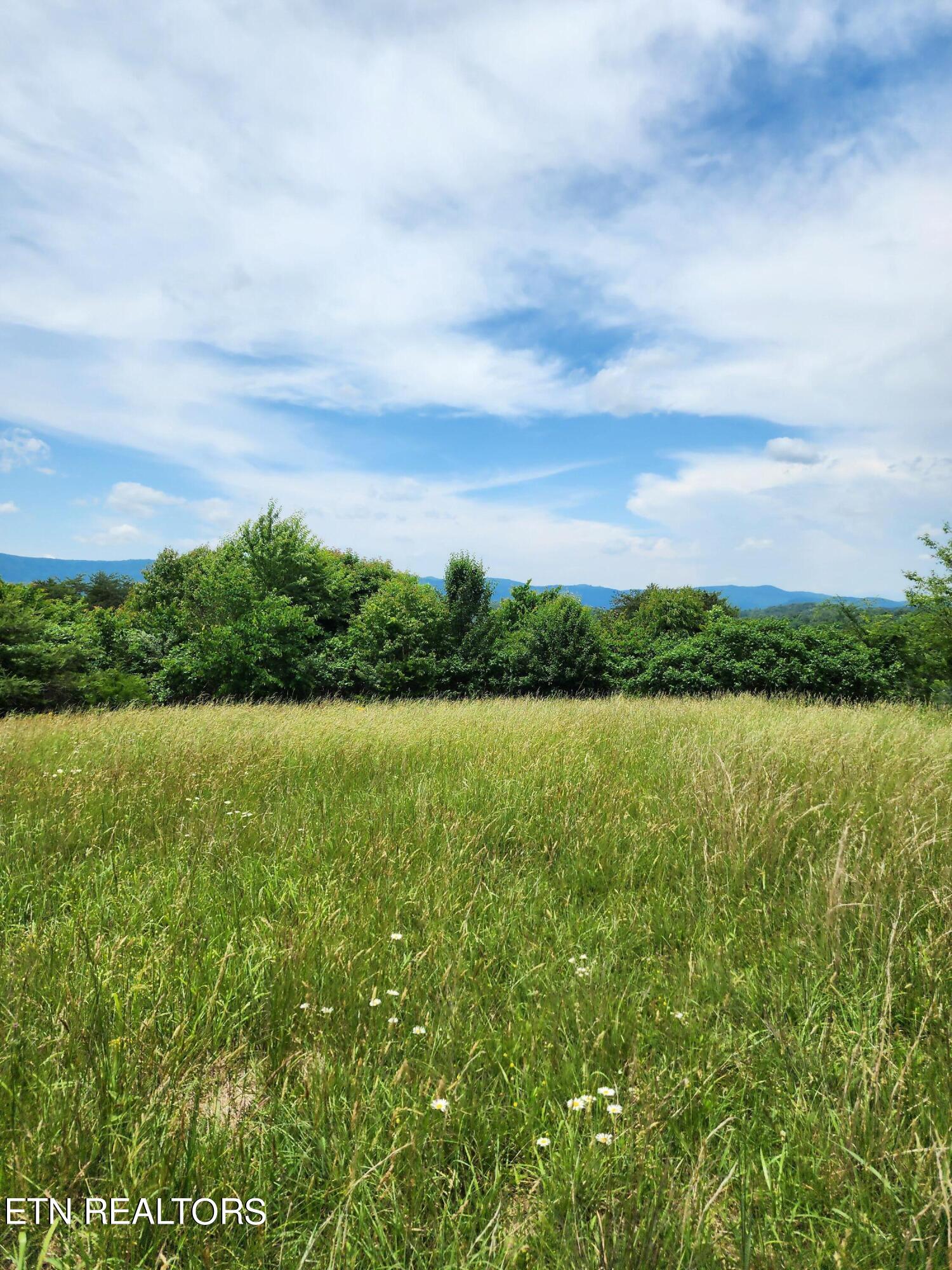 Hiwassee Drive Jacksboro TN 37757