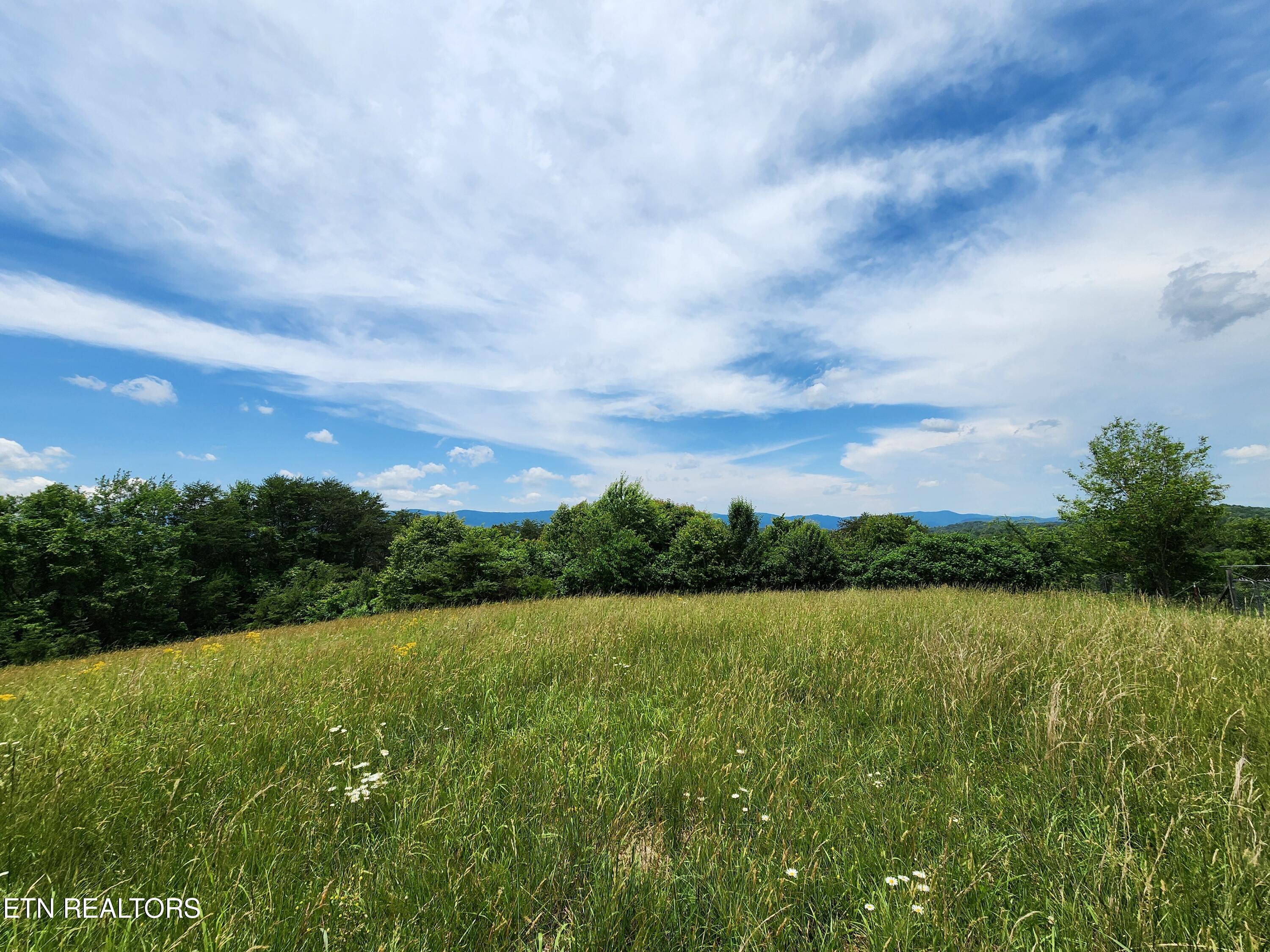 Hiwassee Drive Jacksboro TN 37757