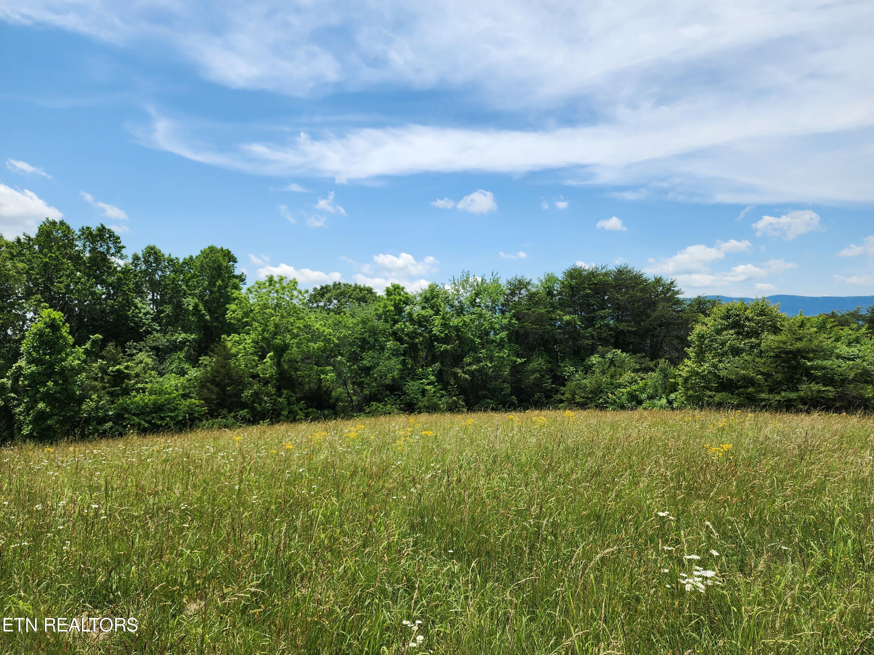 Hiwassee Drive Jacksboro TN 37757