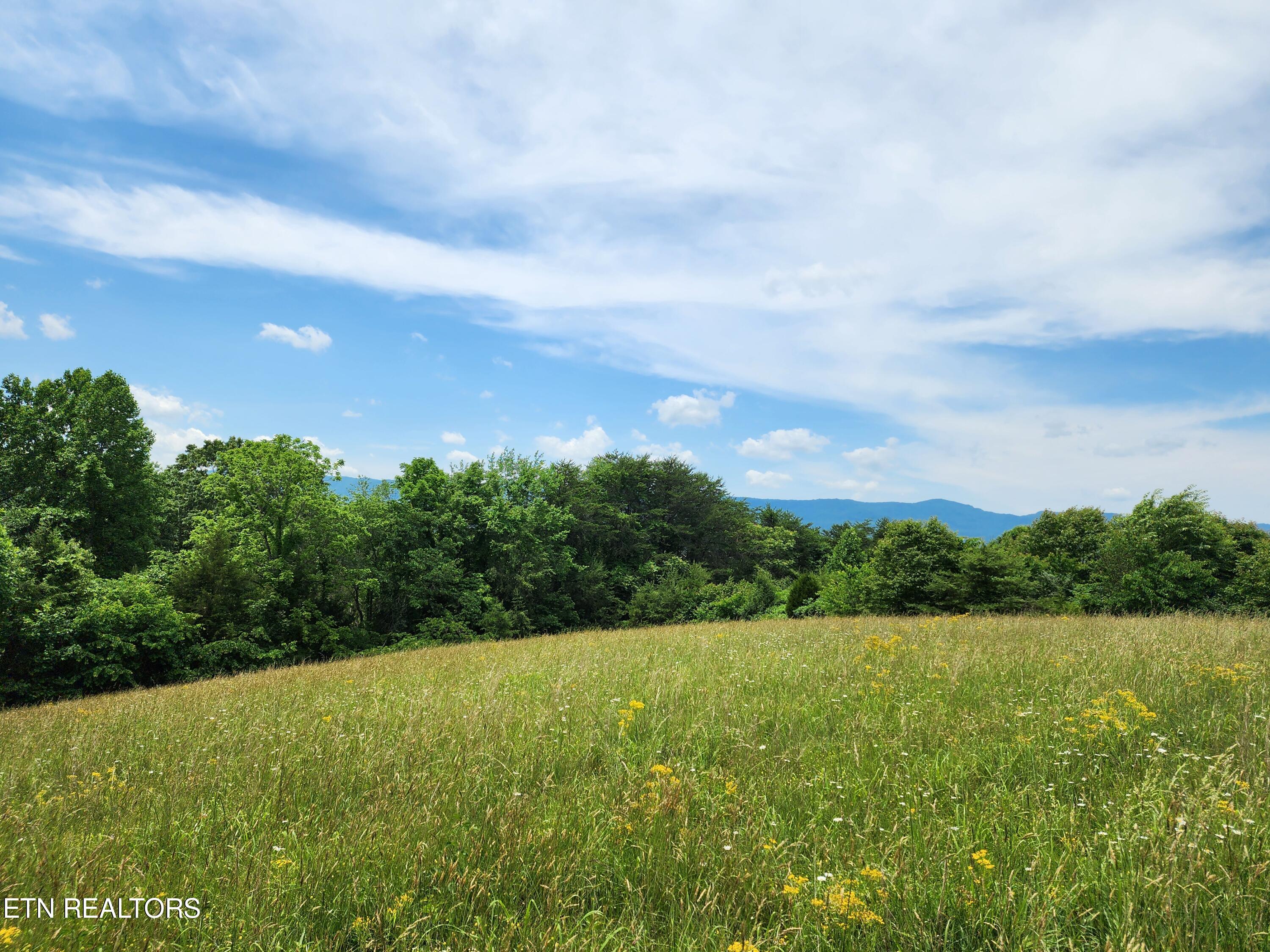 Hiwassee Drive Jacksboro TN 37757