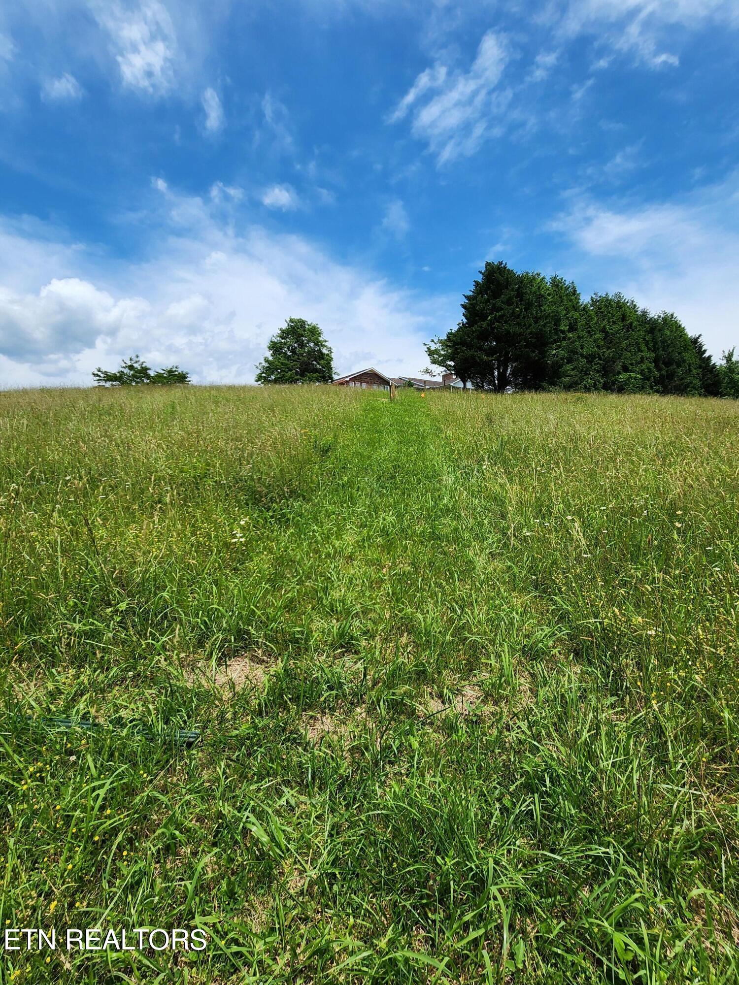 Hiwassee Drive Jacksboro TN 37757