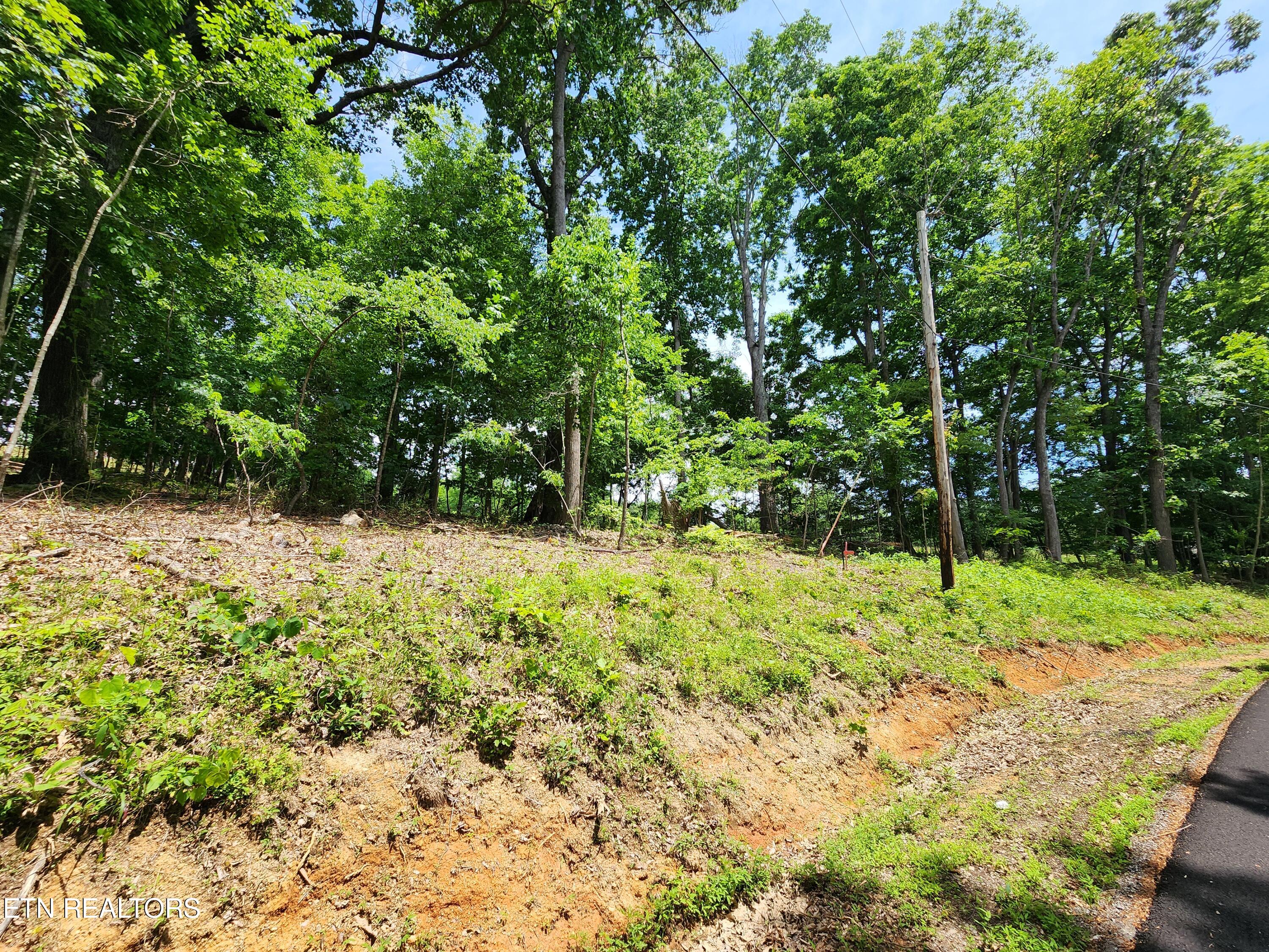 Hiwassee Drive Jacksboro TN 37757