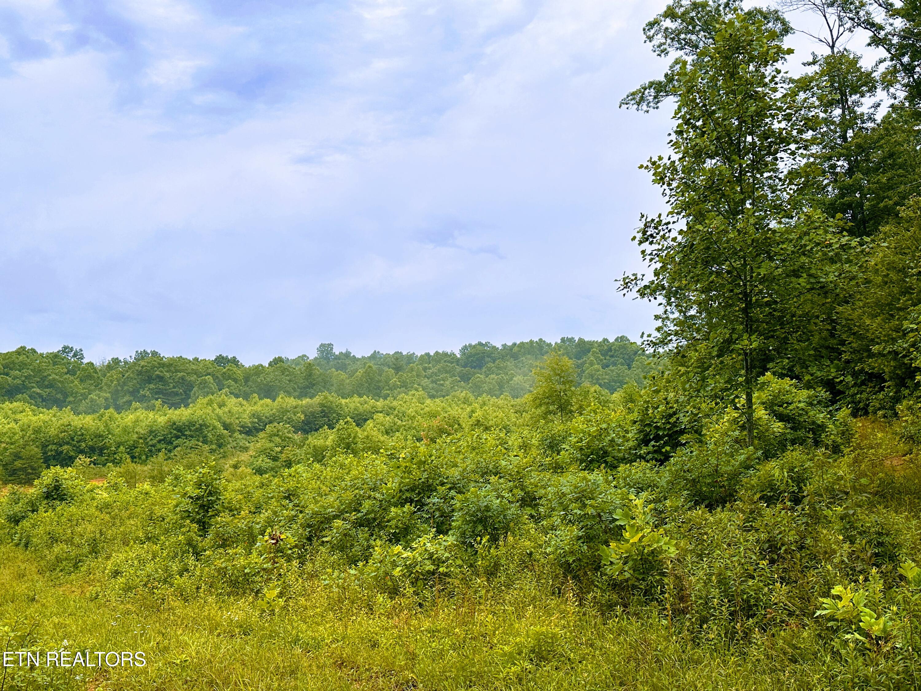 13.44 Chestnut Ridge Road Allardt TN 38504