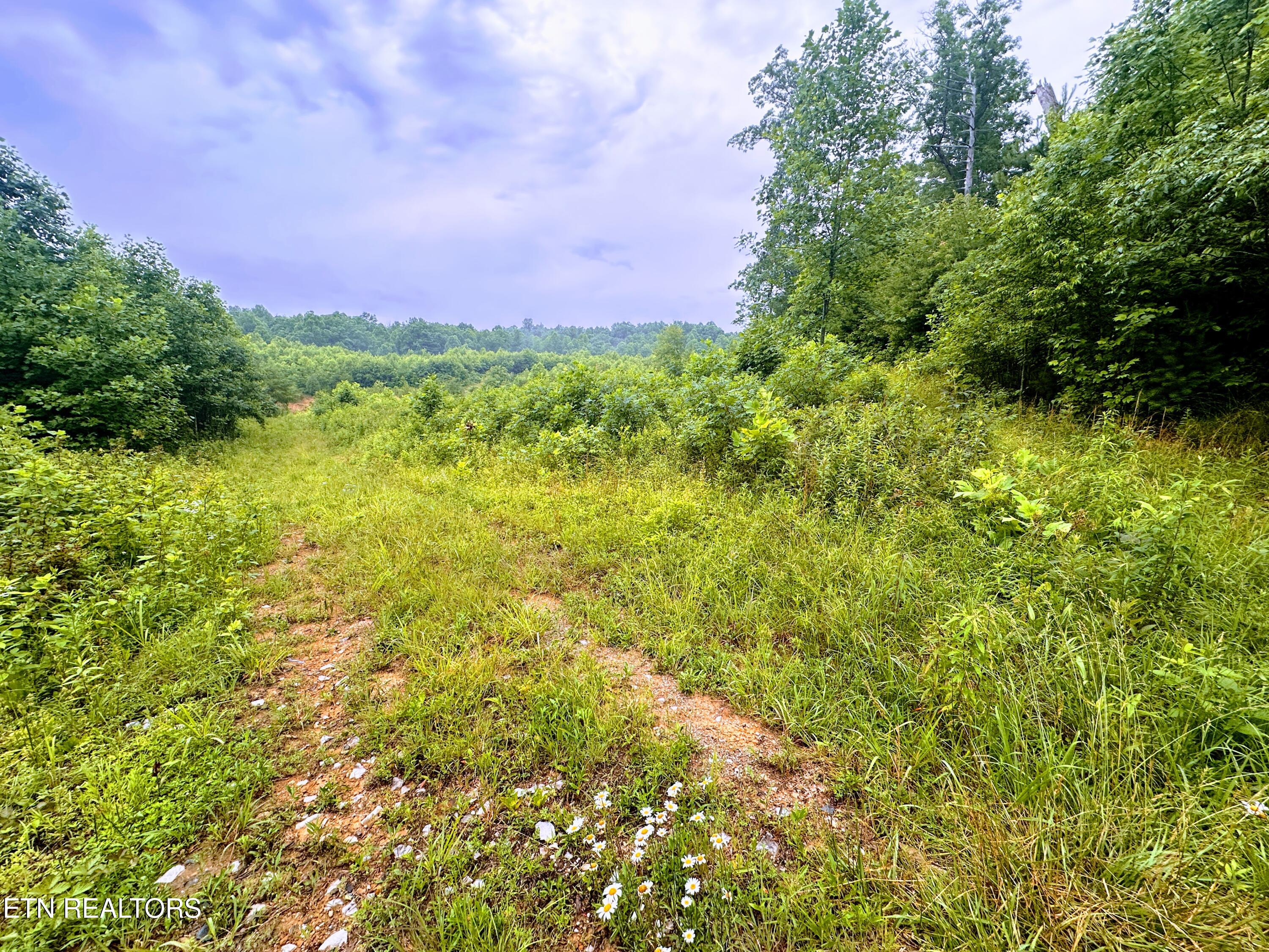 13.44 Chestnut Ridge Road Allardt TN 38504