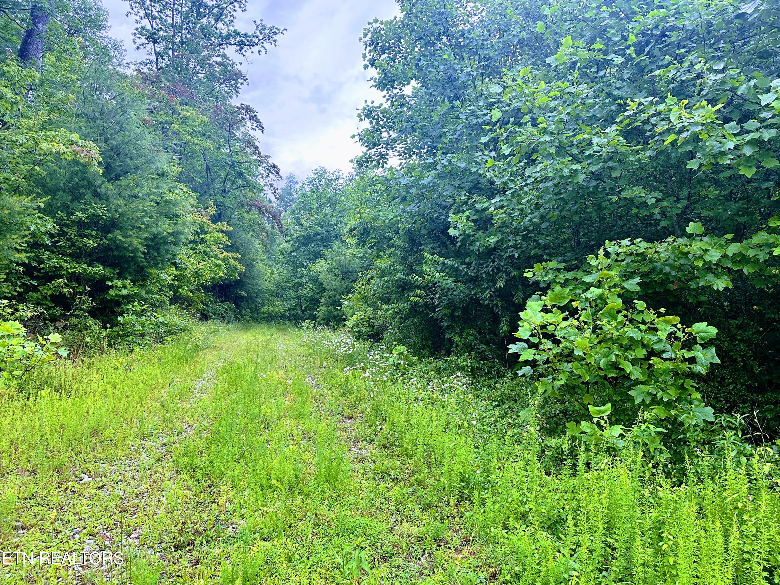 13.44 Chestnut Ridge Road Allardt TN 38504