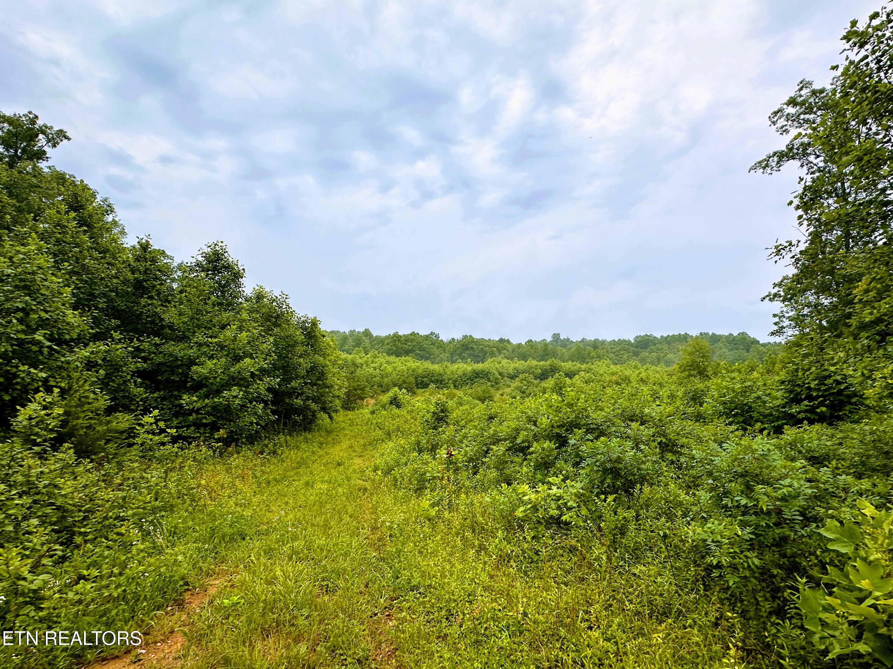 13.44 Chestnut Ridge Road Allardt TN 38504