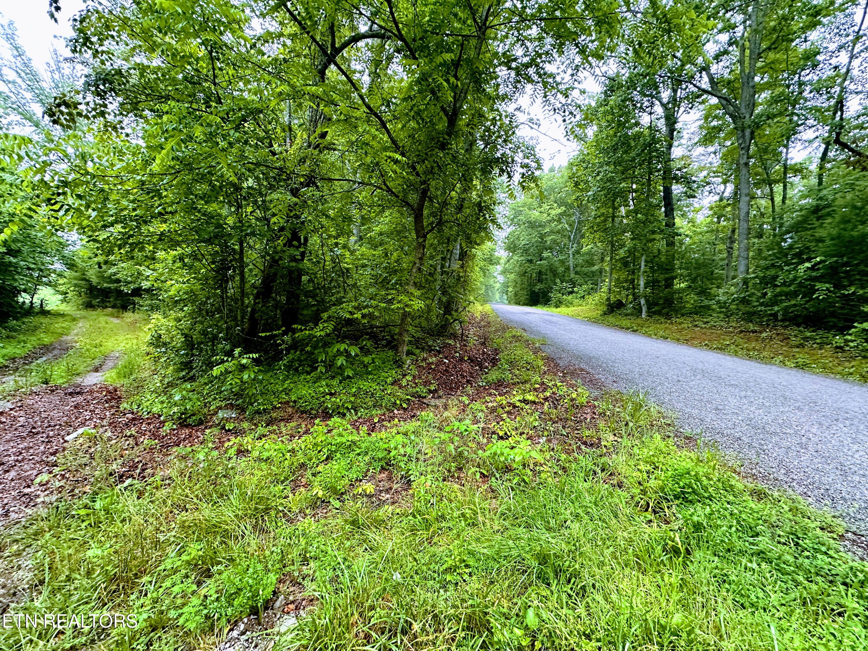 13.44 Chestnut Ridge Road Allardt TN 38504
