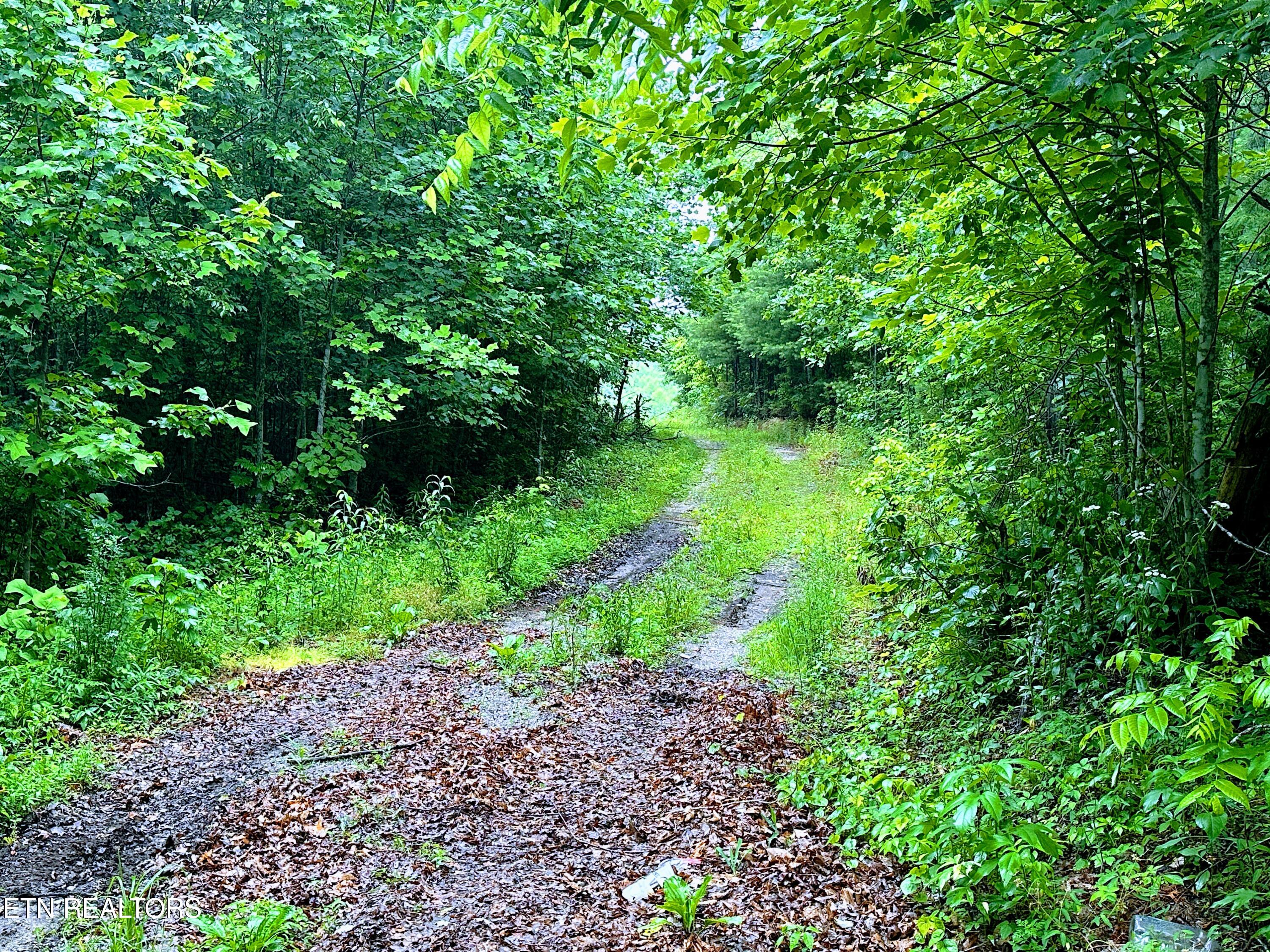13.44 Chestnut Ridge Road Allardt TN 38504