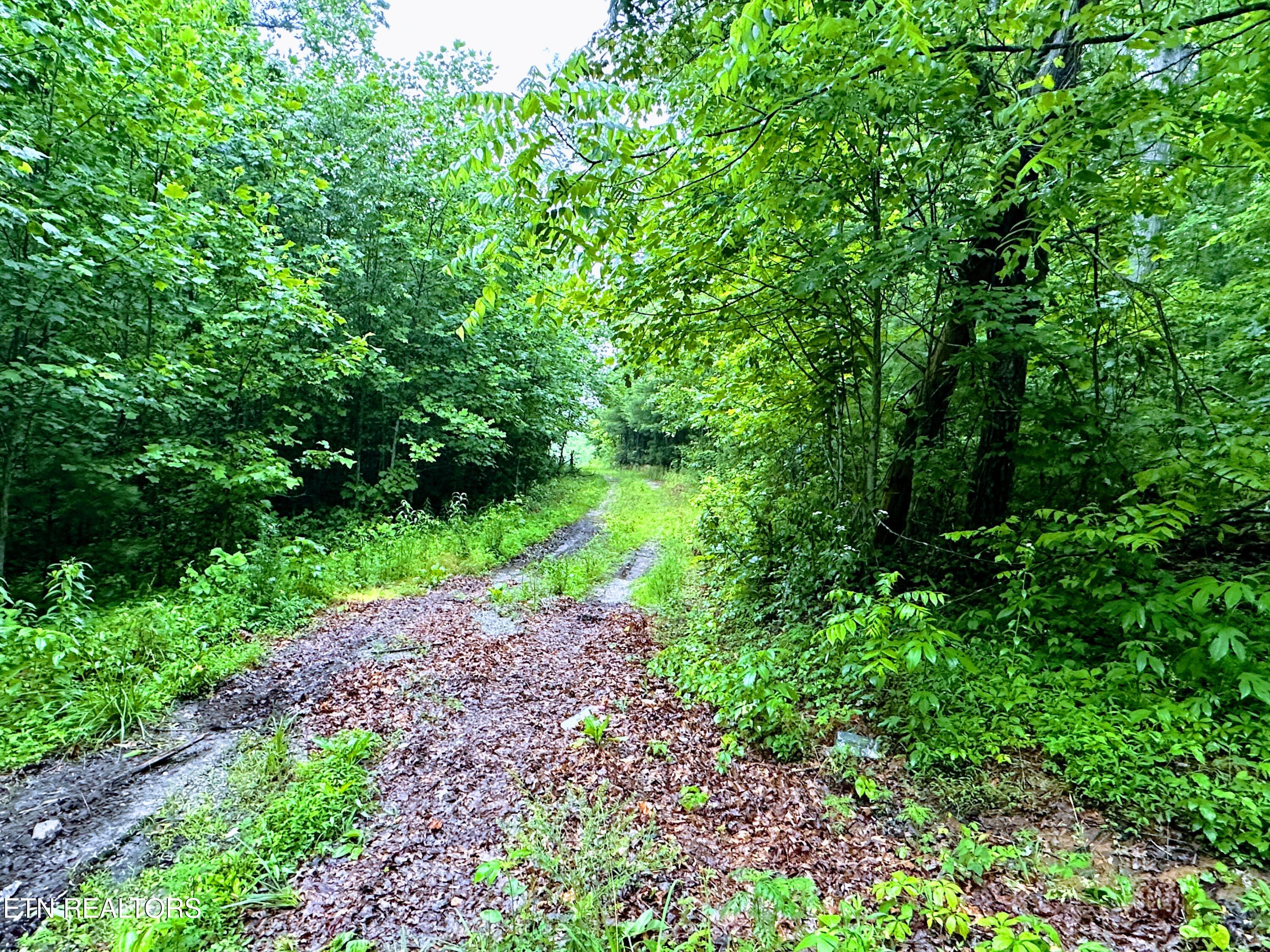 13.44 Chestnut Ridge Road Allardt TN 38504