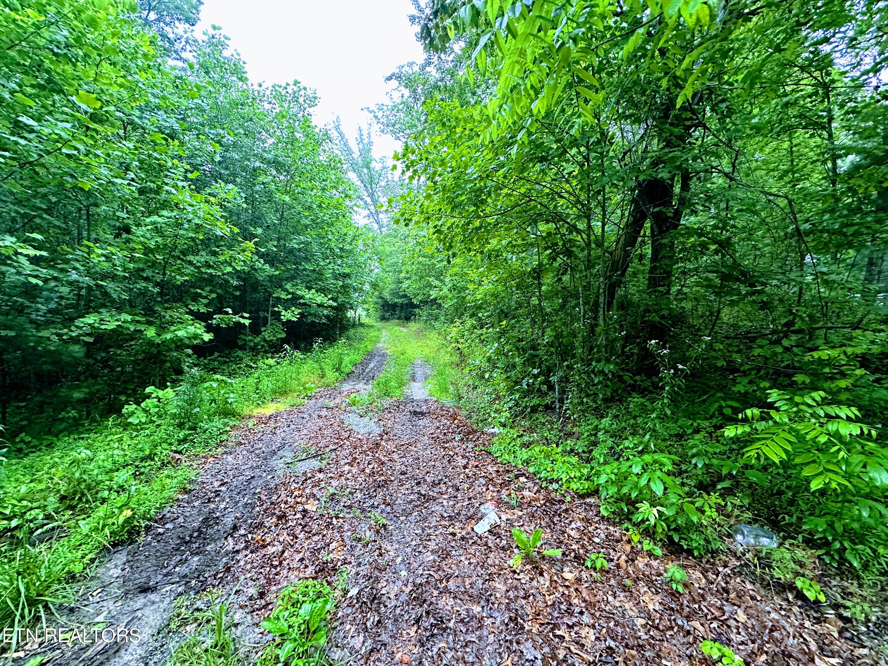 13.44 Chestnut Ridge Road Allardt TN 38504