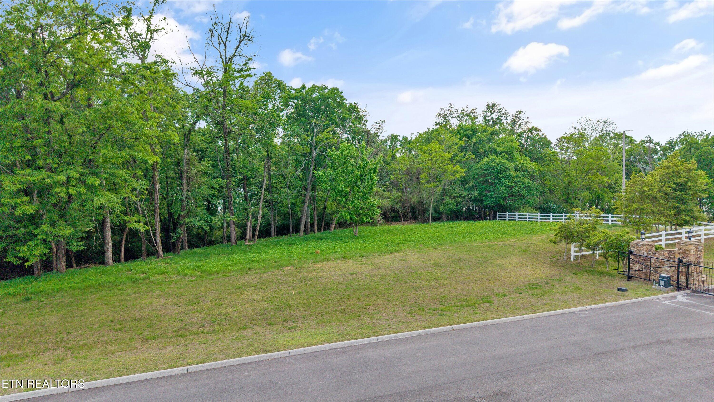 Lot 237 E Shore Drive Rockwood TN 37854