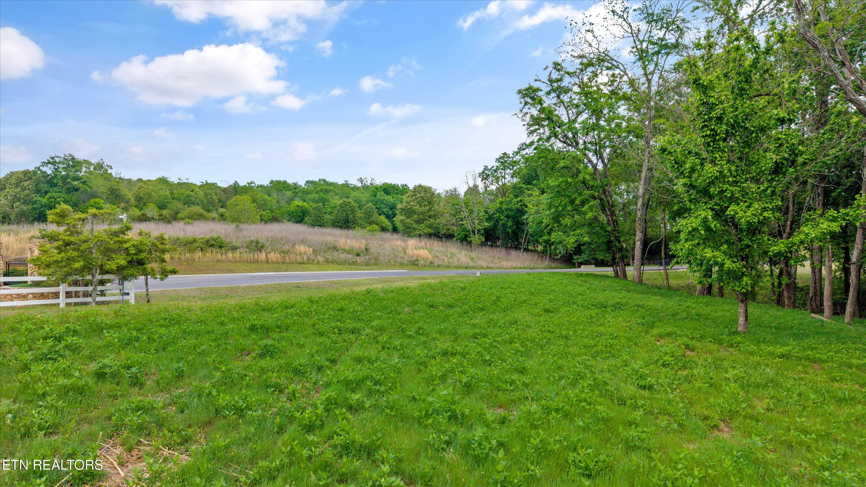 Lot 237 E Shore Drive Rockwood TN 37854