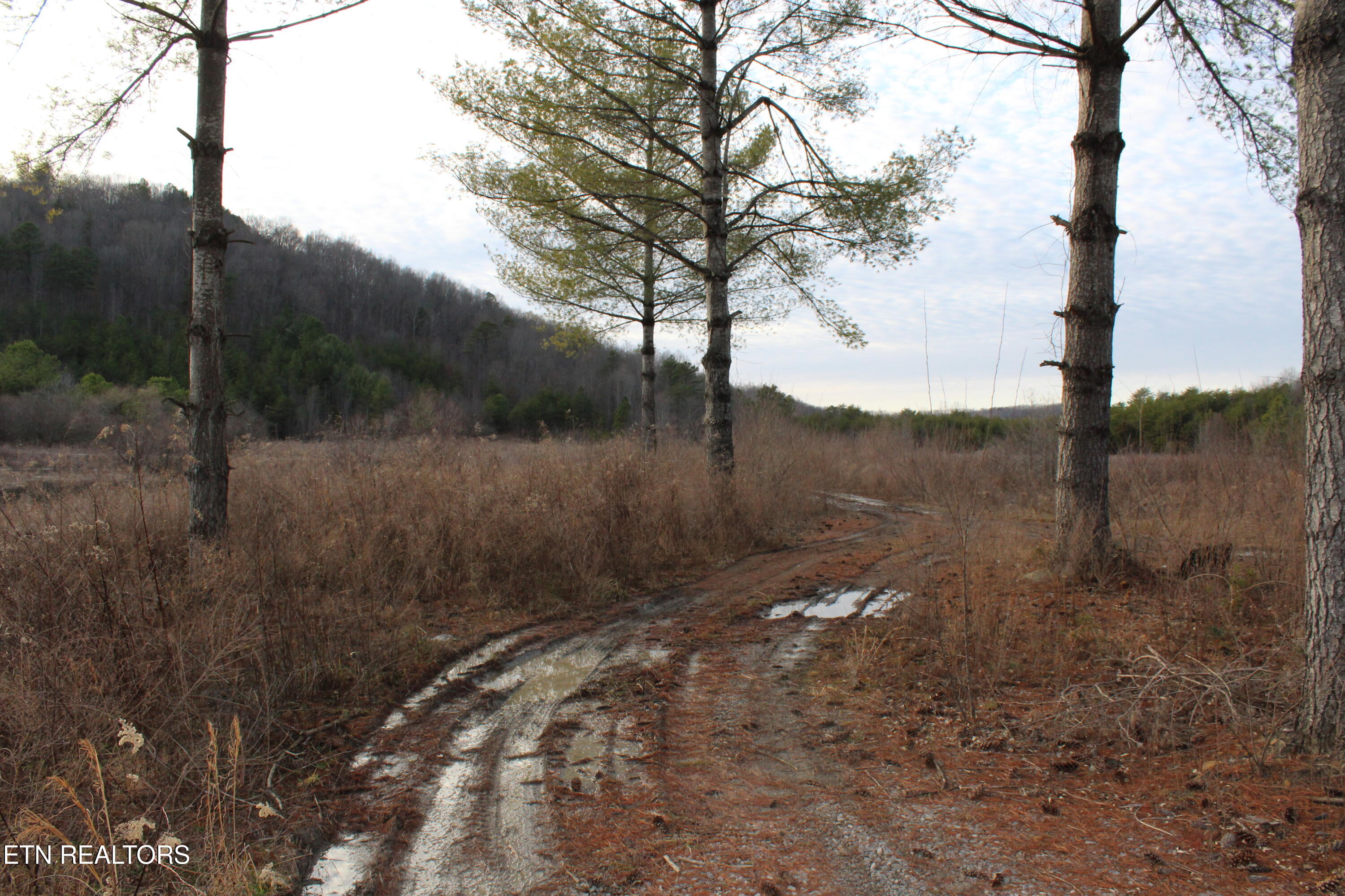 Davis Creek Tract 1 Road Duff TN 37729