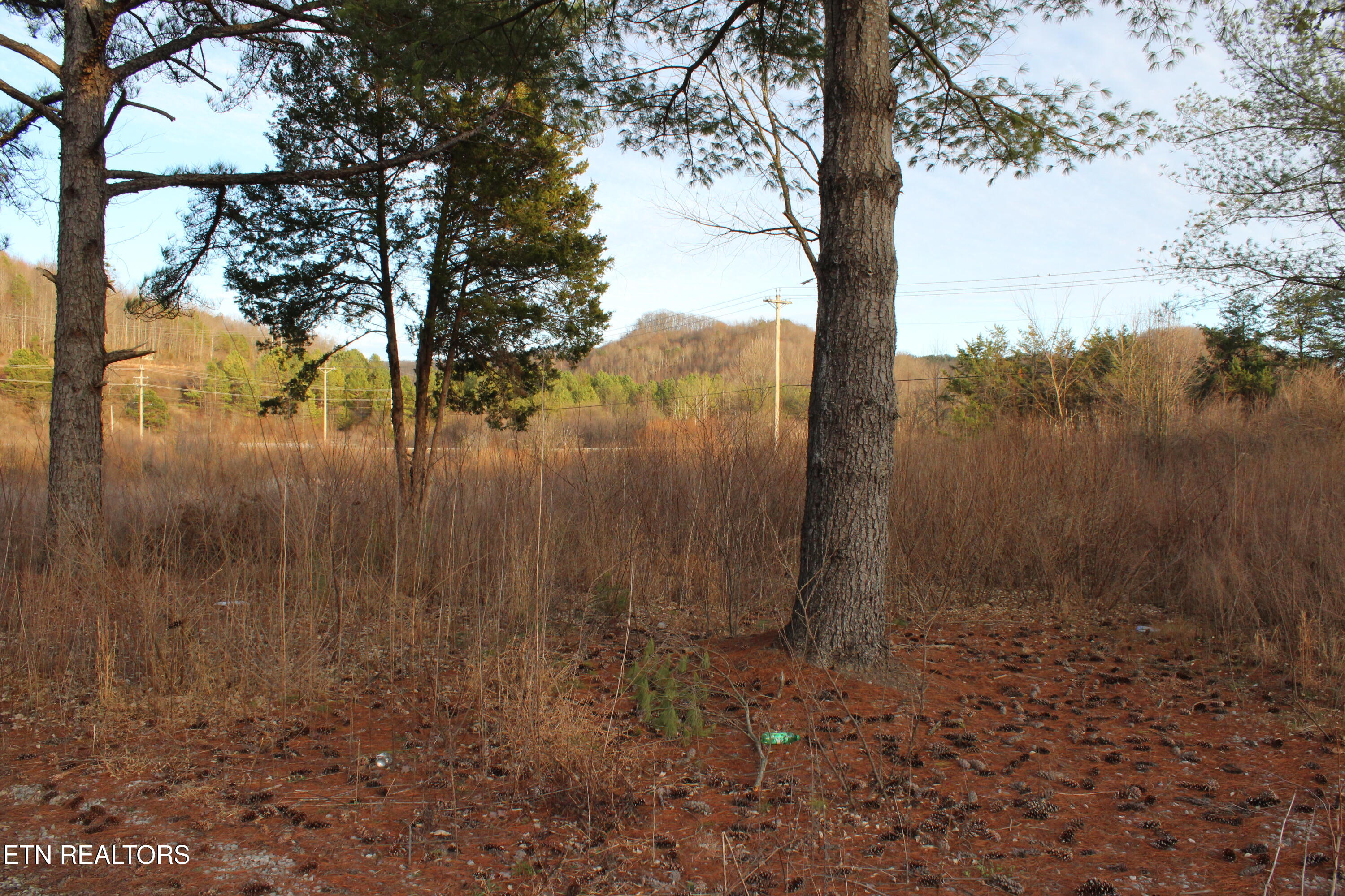 Davis Creek Tract 1 Road Duff TN 37729