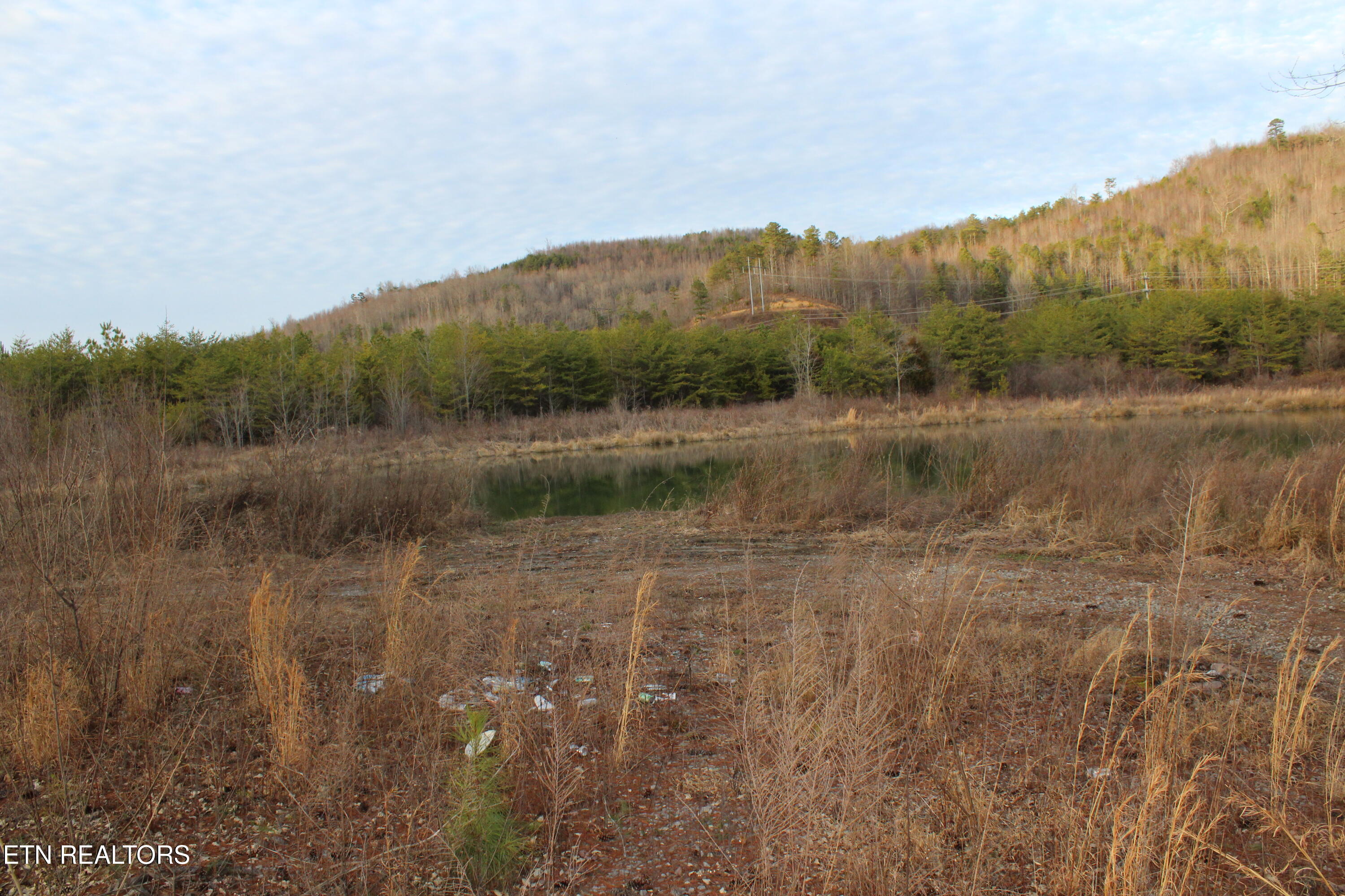 Davis Creek Tract 1 Road Duff TN 37729
