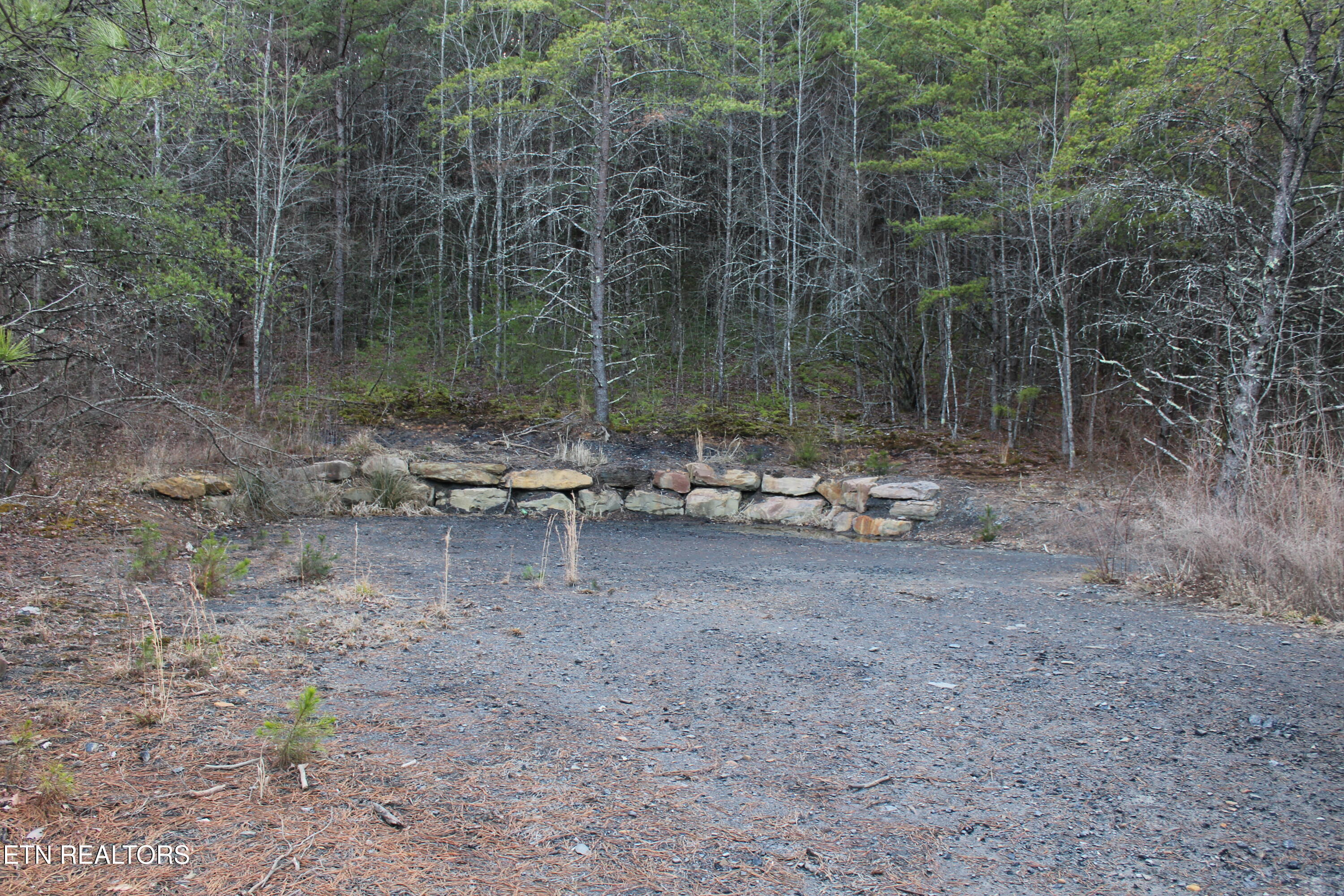 Davis Creek Tract 1 Road Duff TN 37729