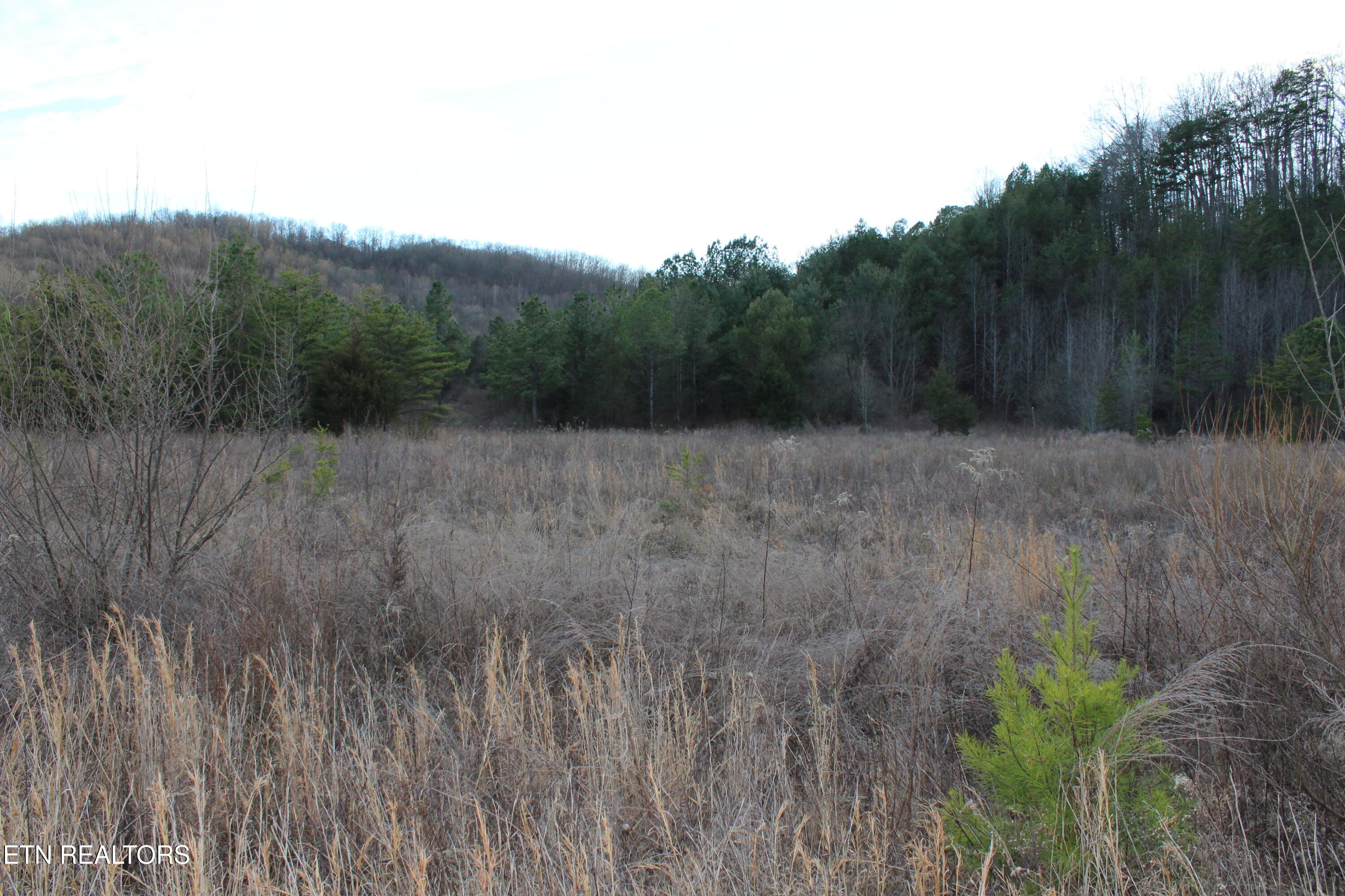 Davis Creek Tract 1 Road Duff TN 37729
