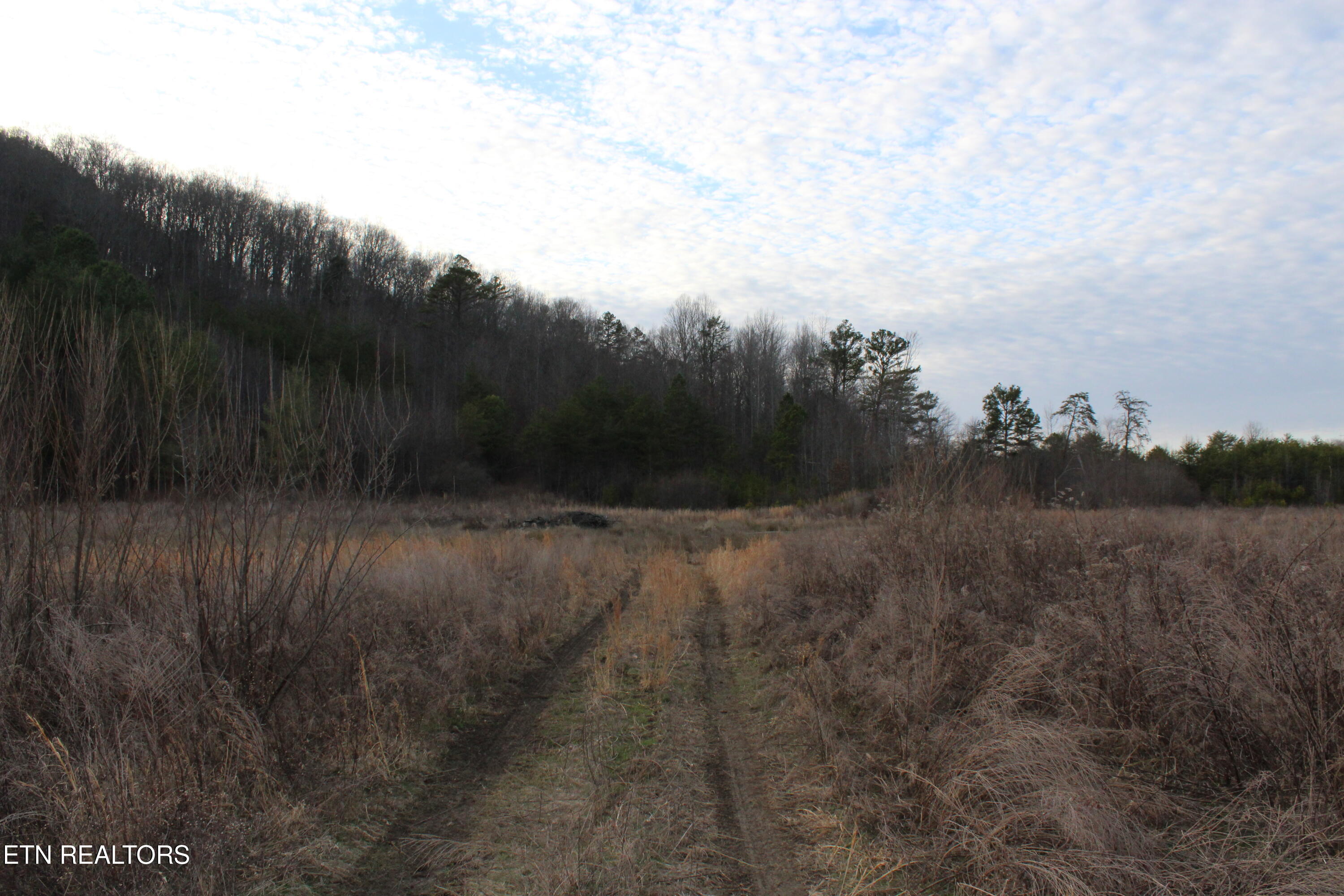 Davis Creek Tract 1 Road Duff TN 37729