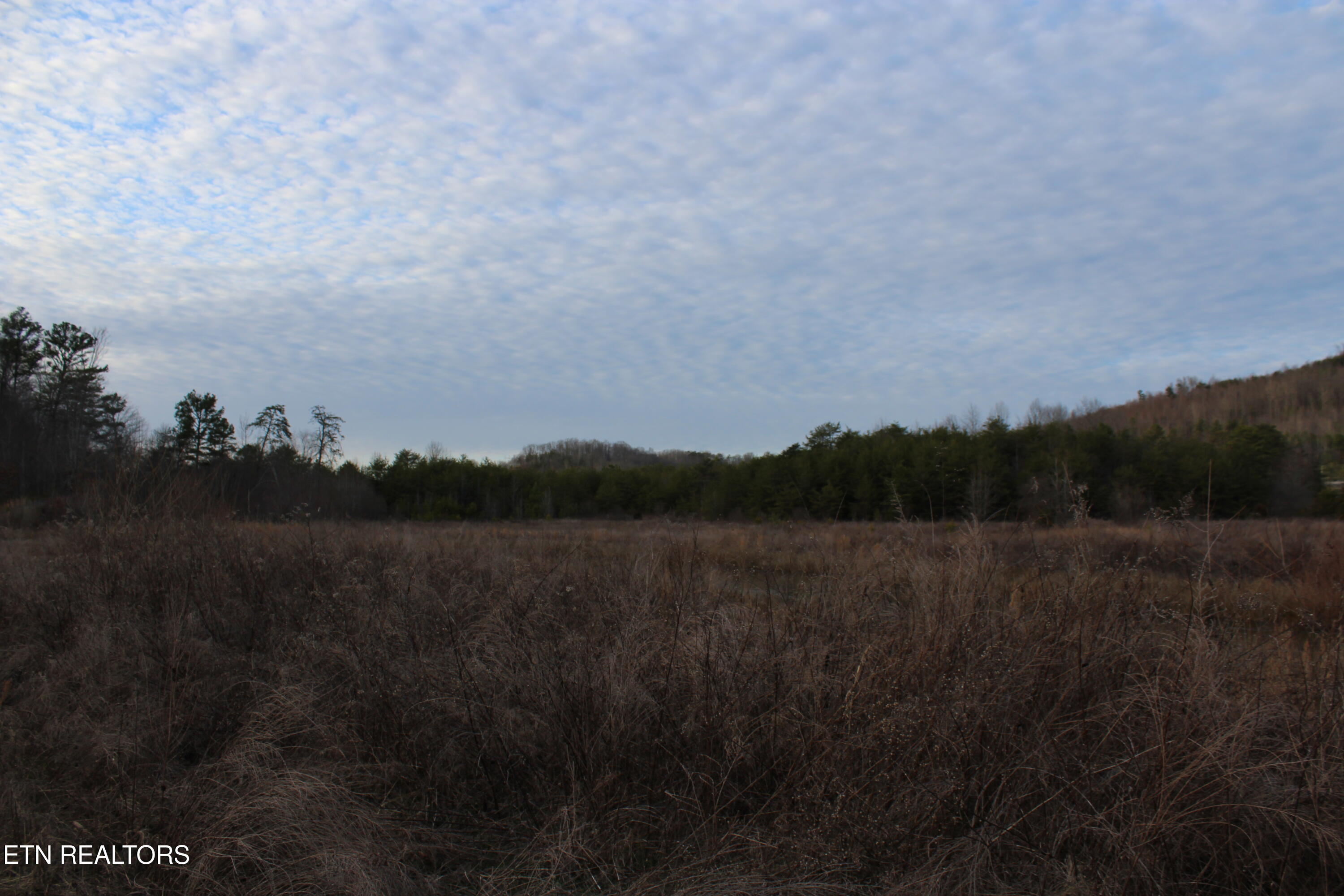 Davis Creek Tract 1 Road Duff TN 37729