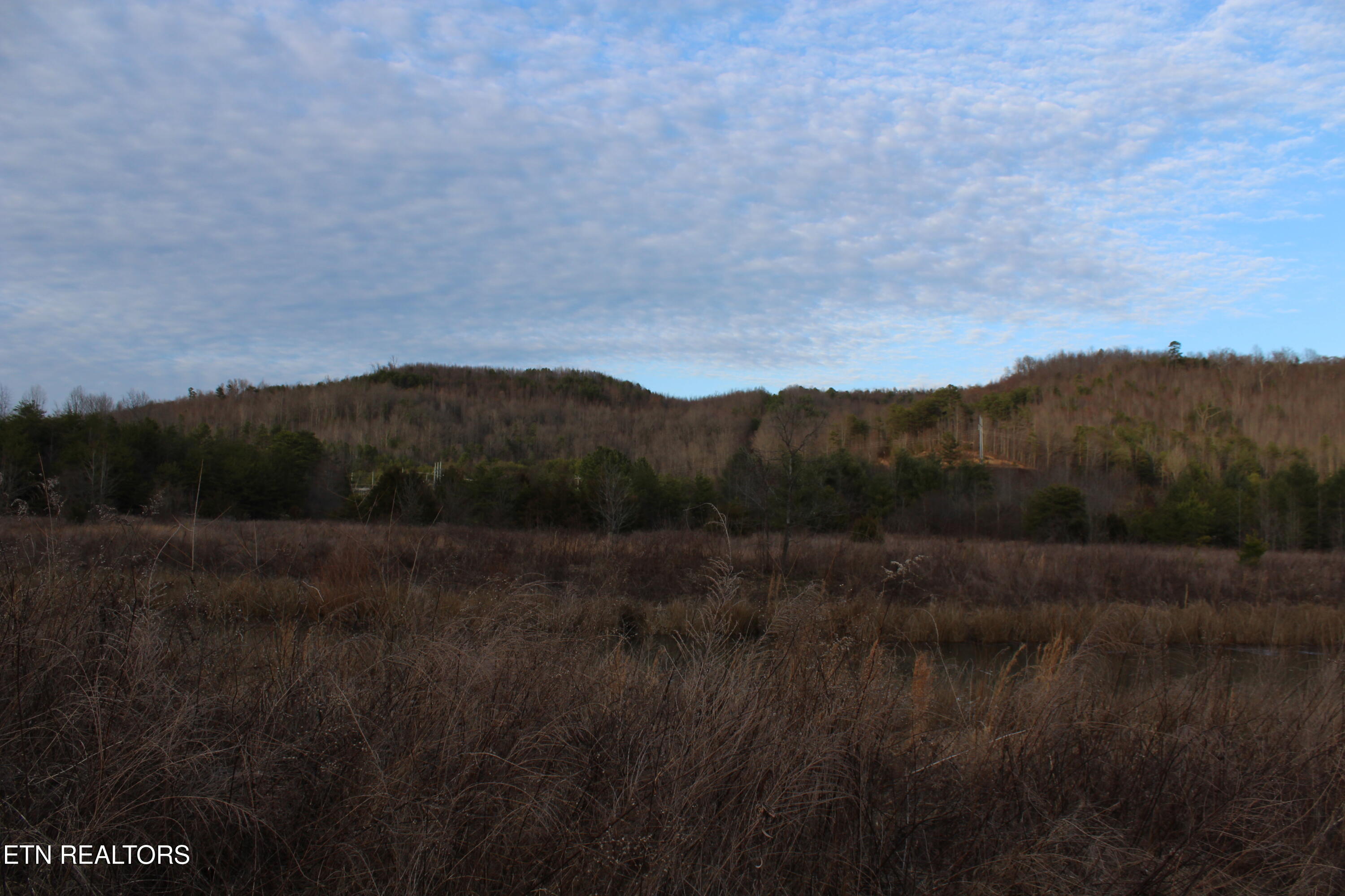 Davis Creek Tract 1 Road Duff TN 37729