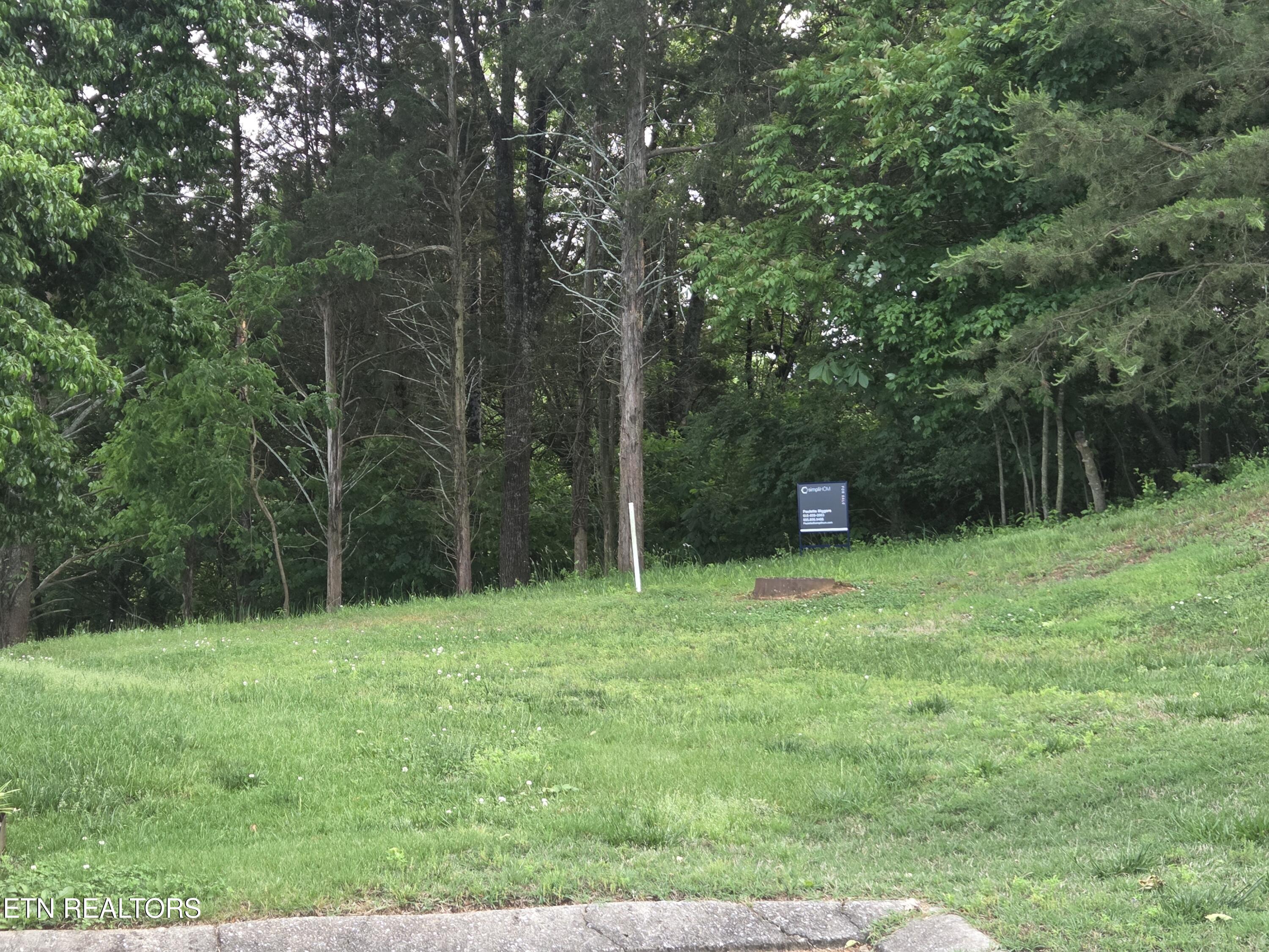2417 Riverview Road Lenoir City TN 37771