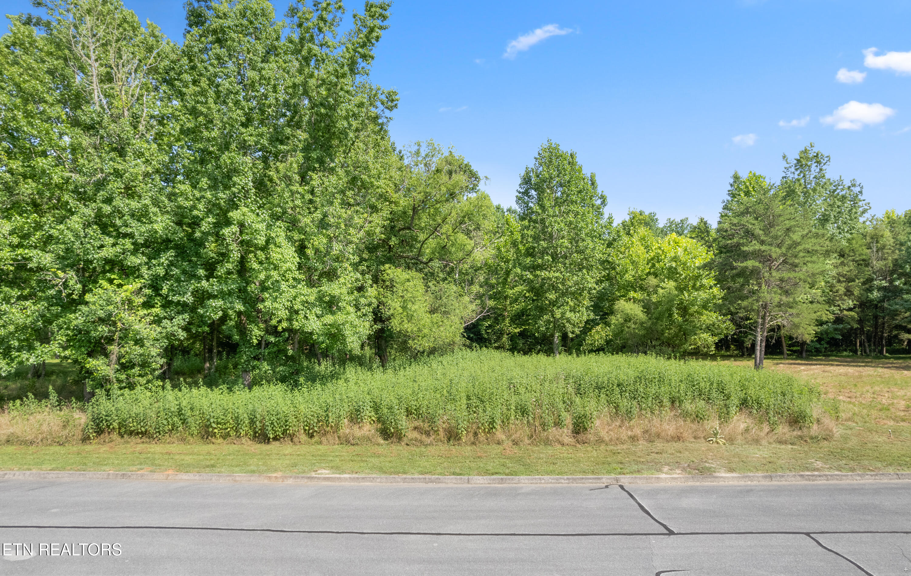 Creekside Drive Harriman TN 37748