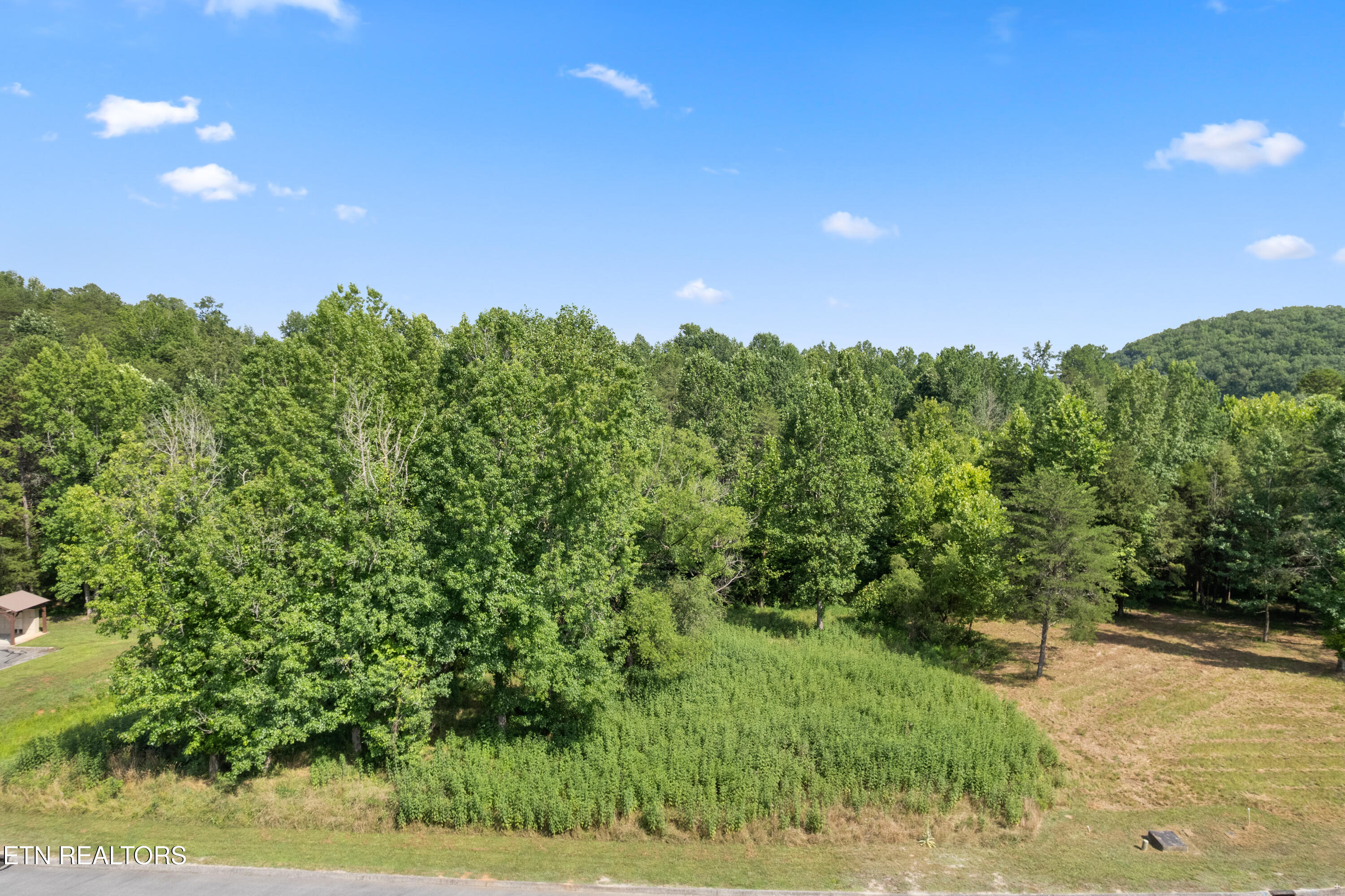 Creekside Drive Harriman TN 37748