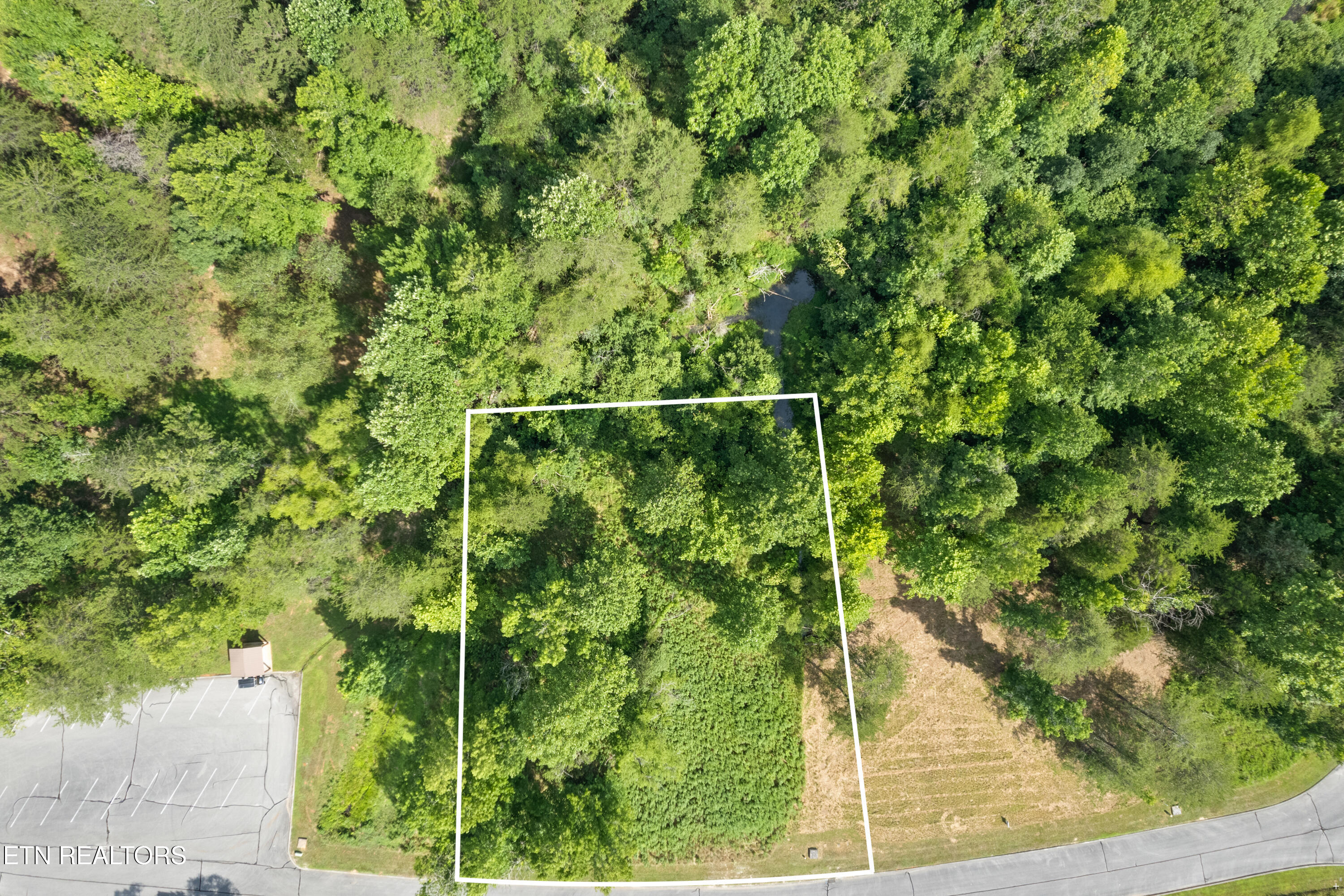 Creekside Drive Harriman TN 37748
