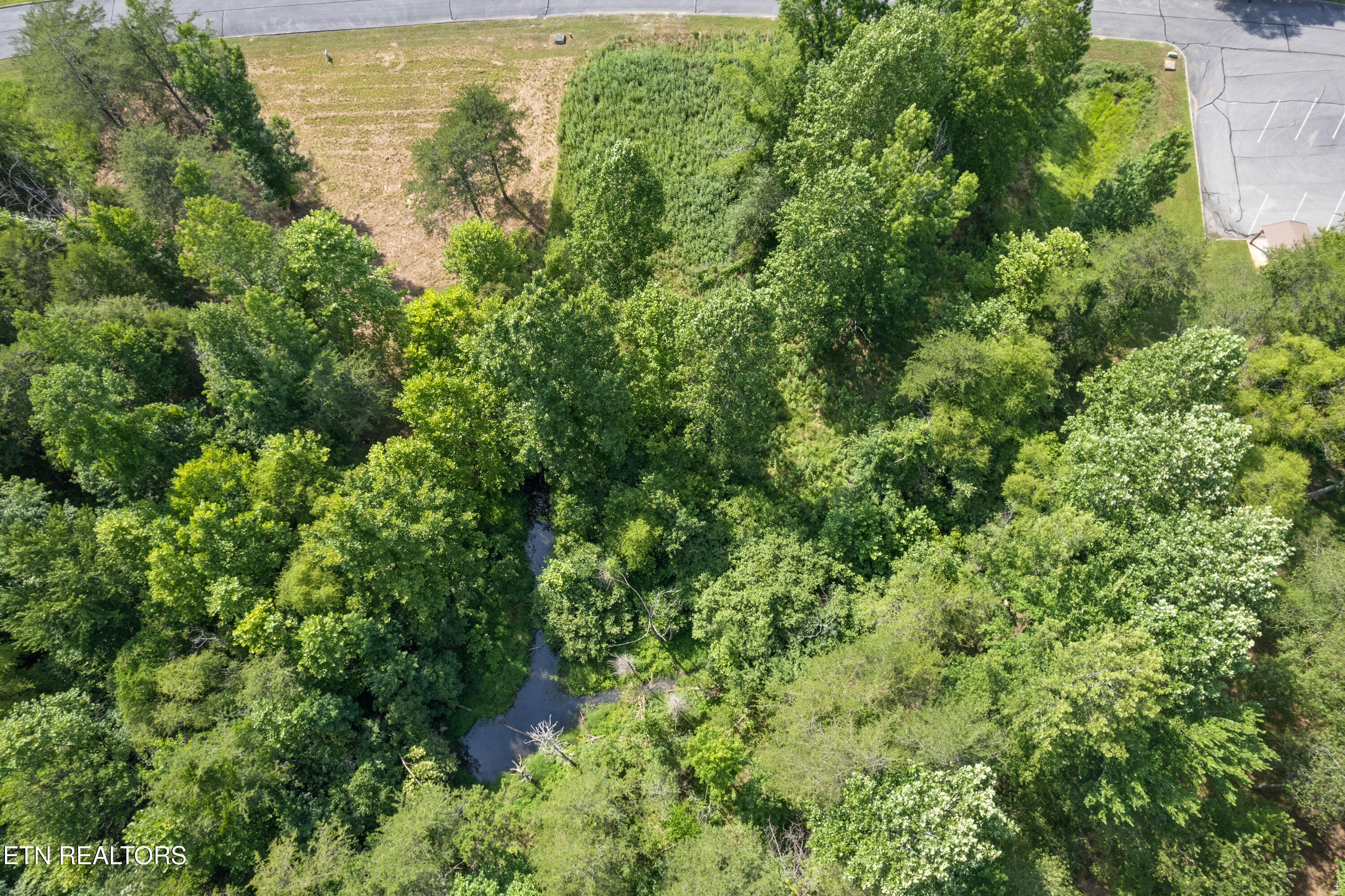 Creekside Drive Harriman TN 37748