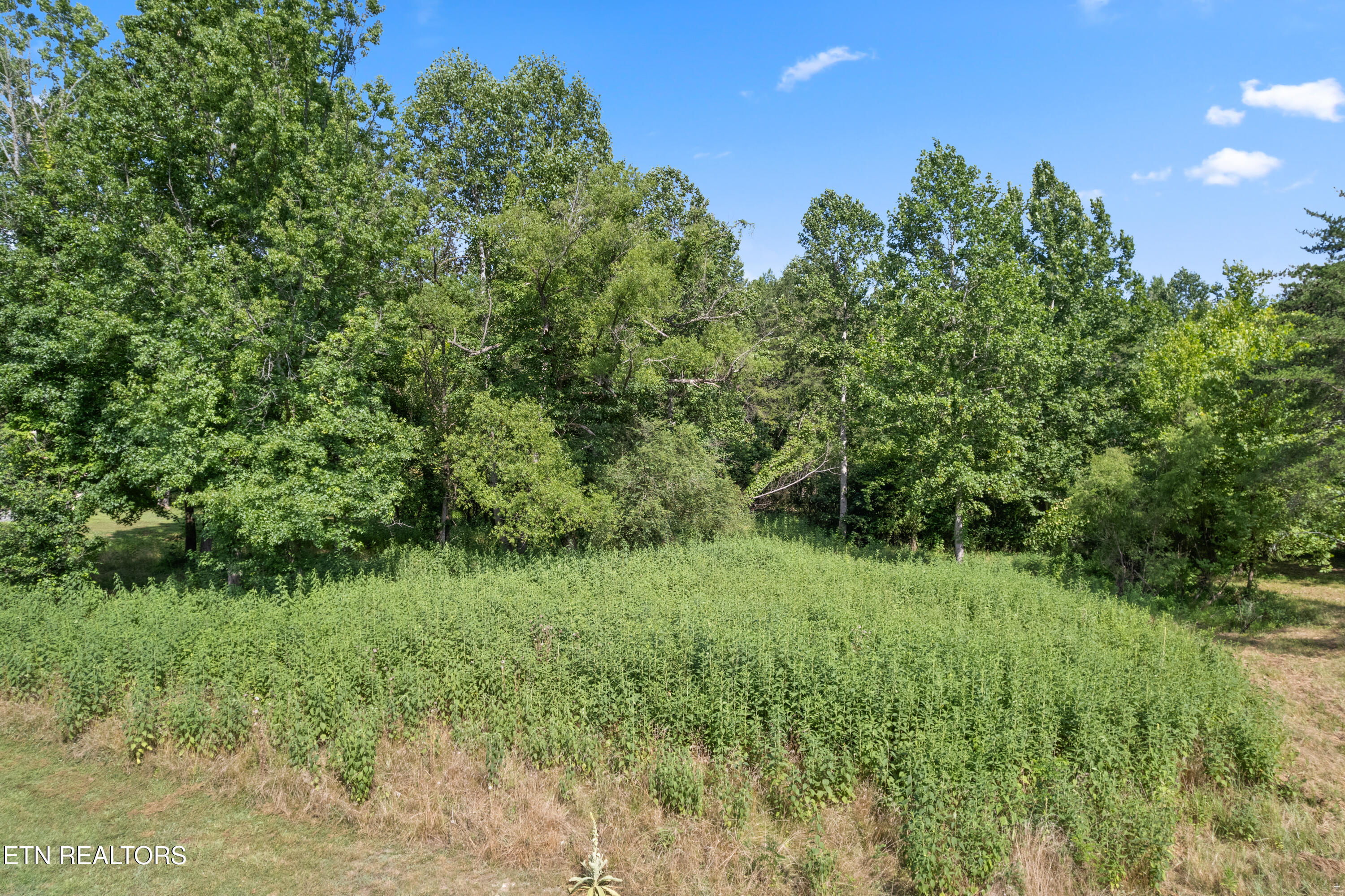 Creekside Drive Harriman TN 37748