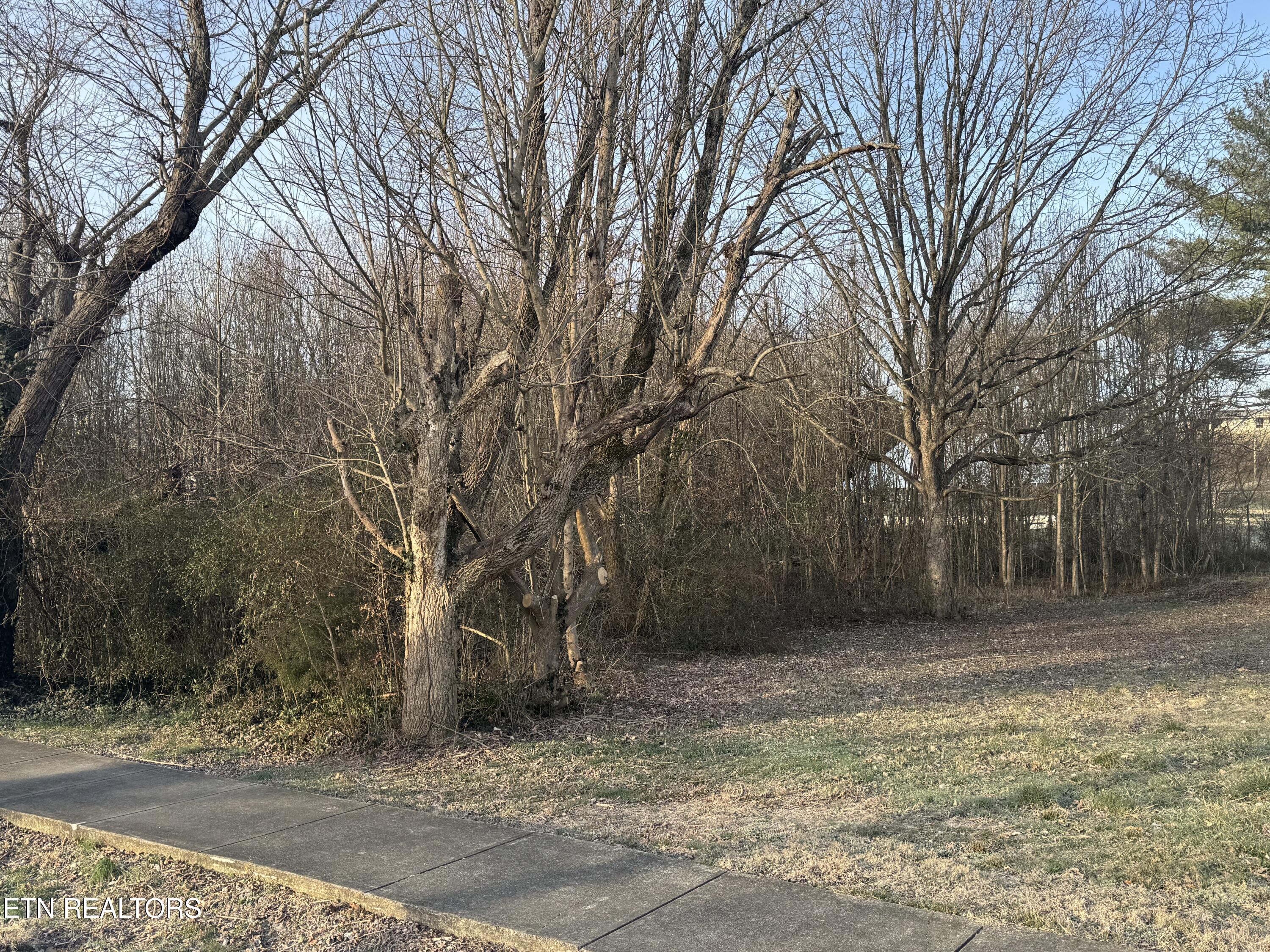 211 Babcock Street Tellico Plains TN 37385