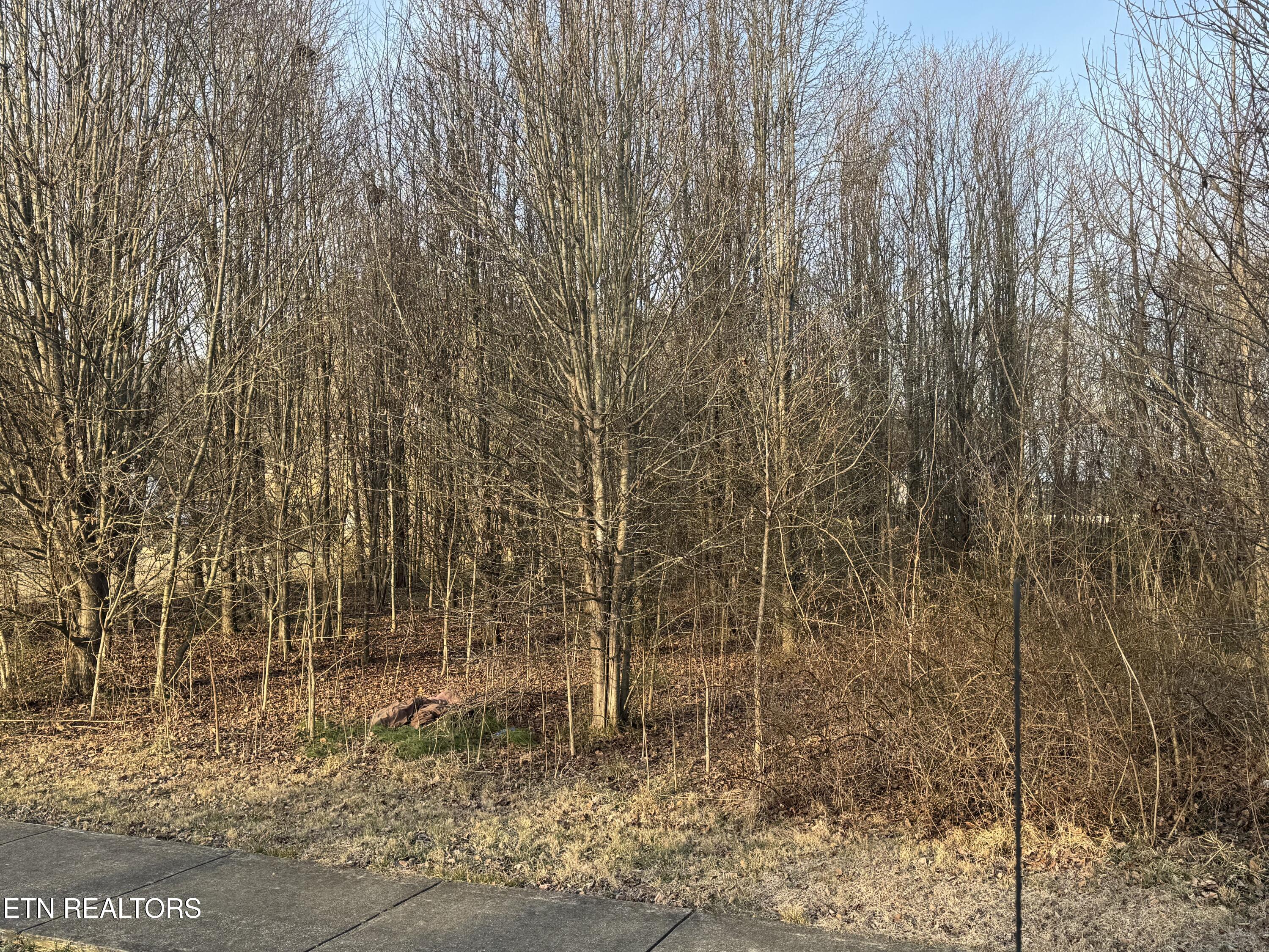 211 Babcock Street Tellico Plains TN 37385