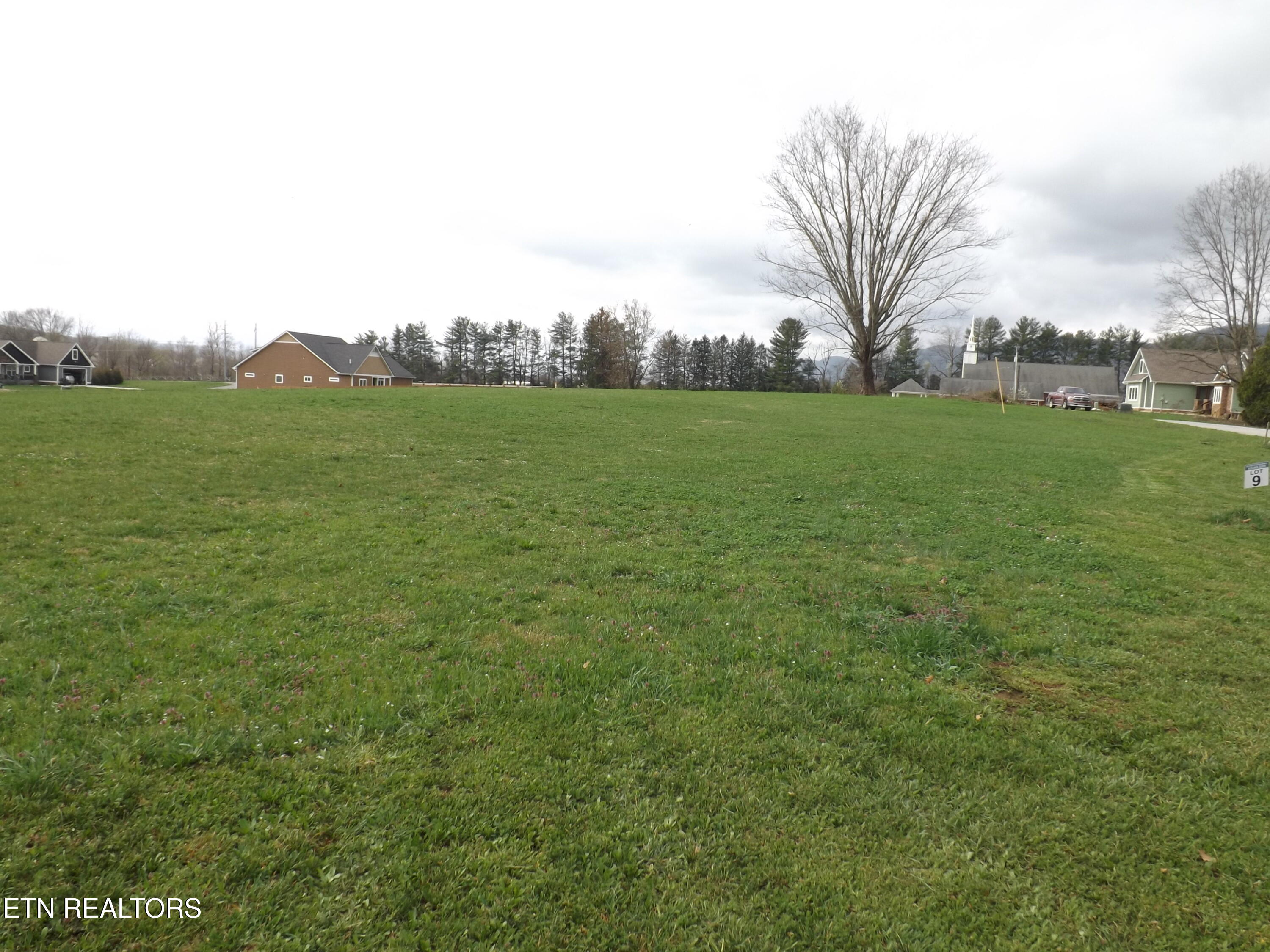 148 Auggie Belle Lane Speedwell TN 37870