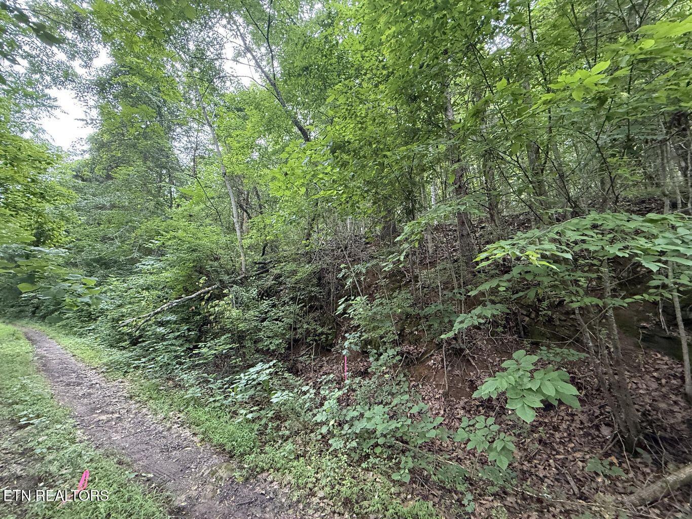 Fortunato Drive Baneberry TN 37890