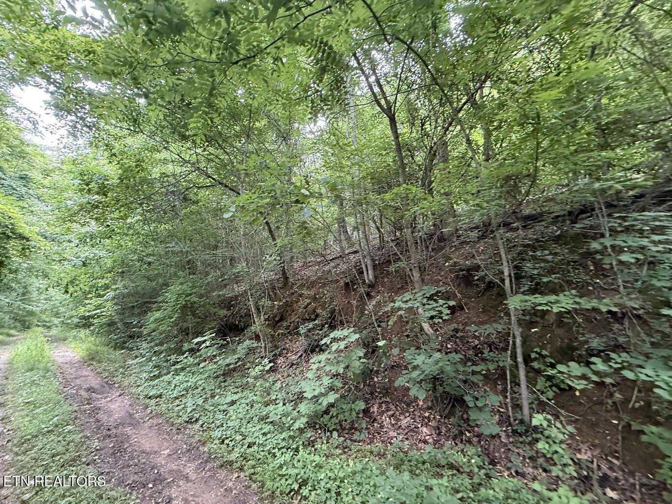 Fortunato Drive Baneberry TN 37890
