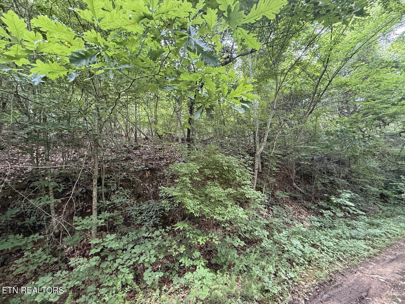 Fortunato Drive Baneberry TN 37890