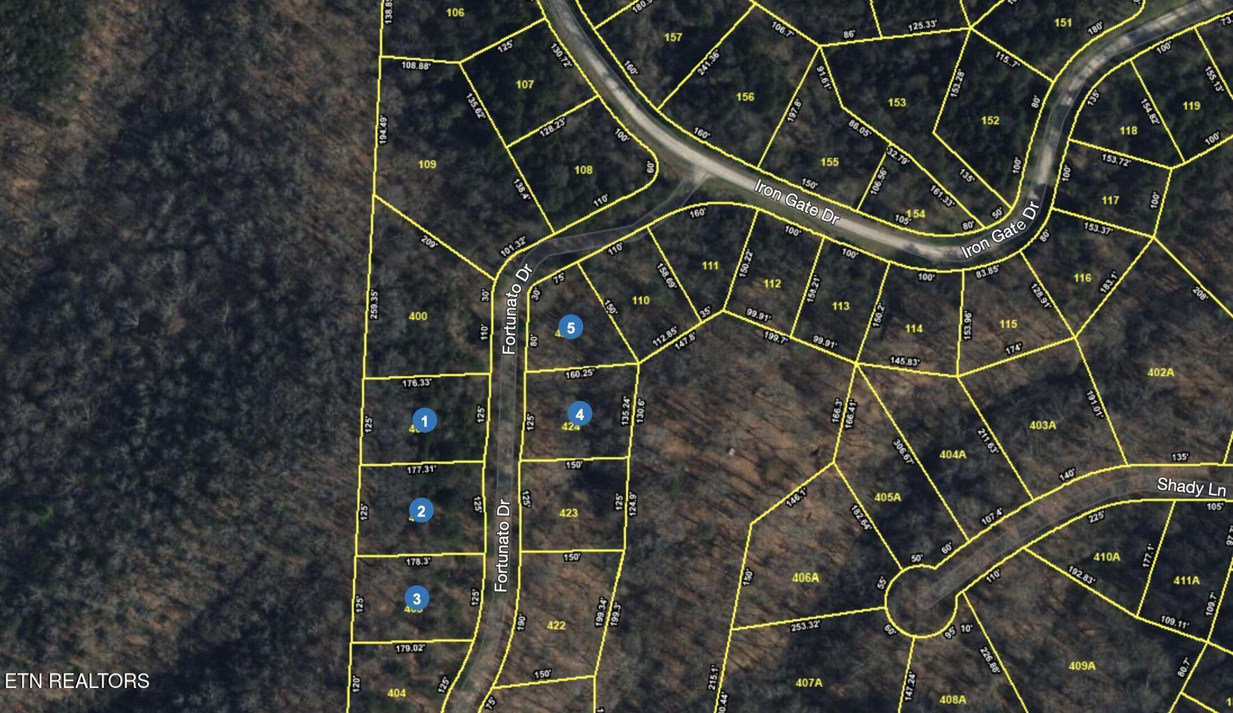 Fortunato Drive Baneberry TN 37890