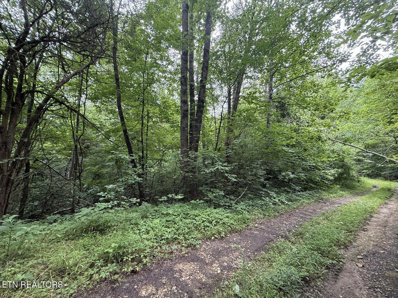 Fortunato Drive Baneberry TN 37890
