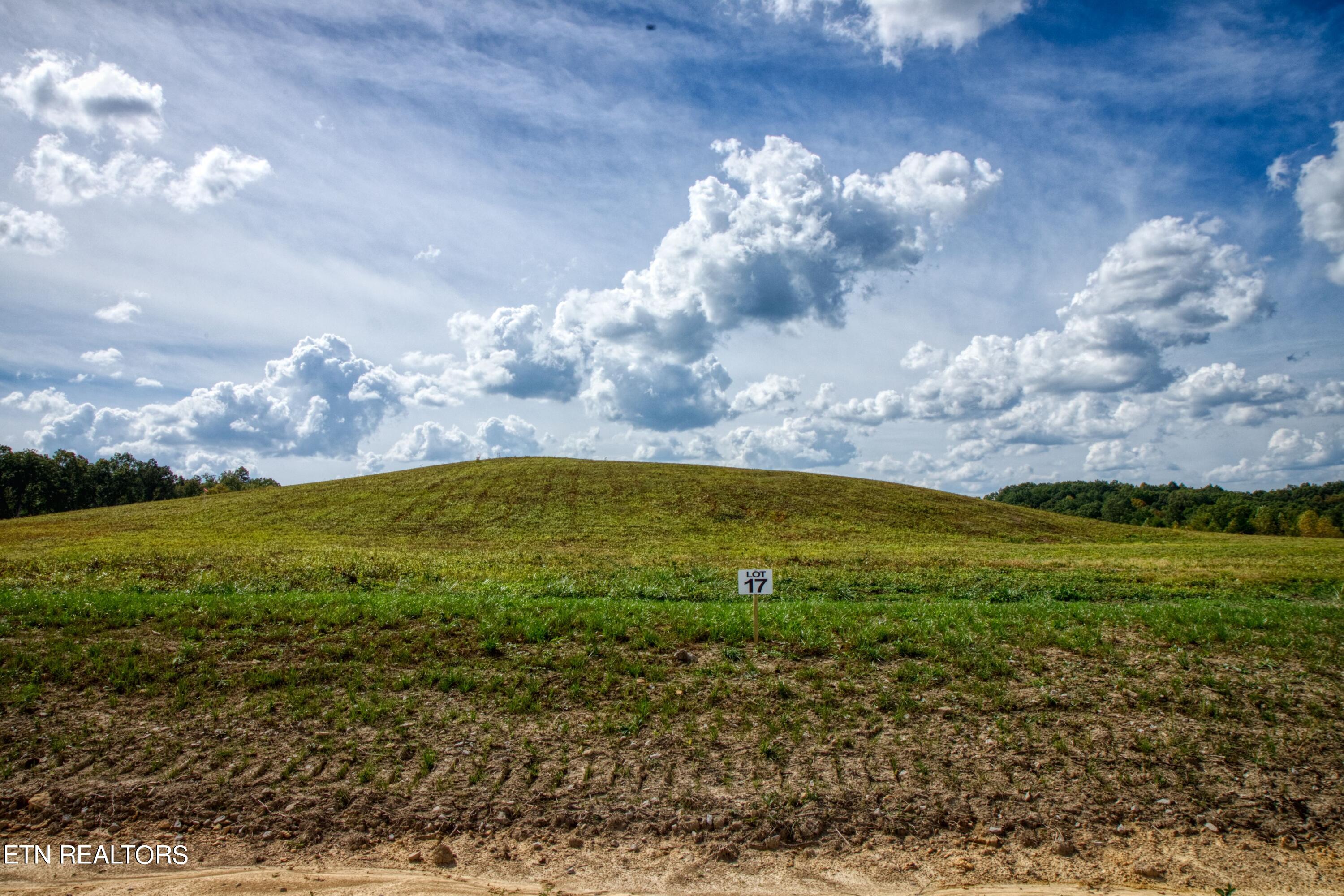 Lot 17 Long Ridge Way Allardt TN 38504