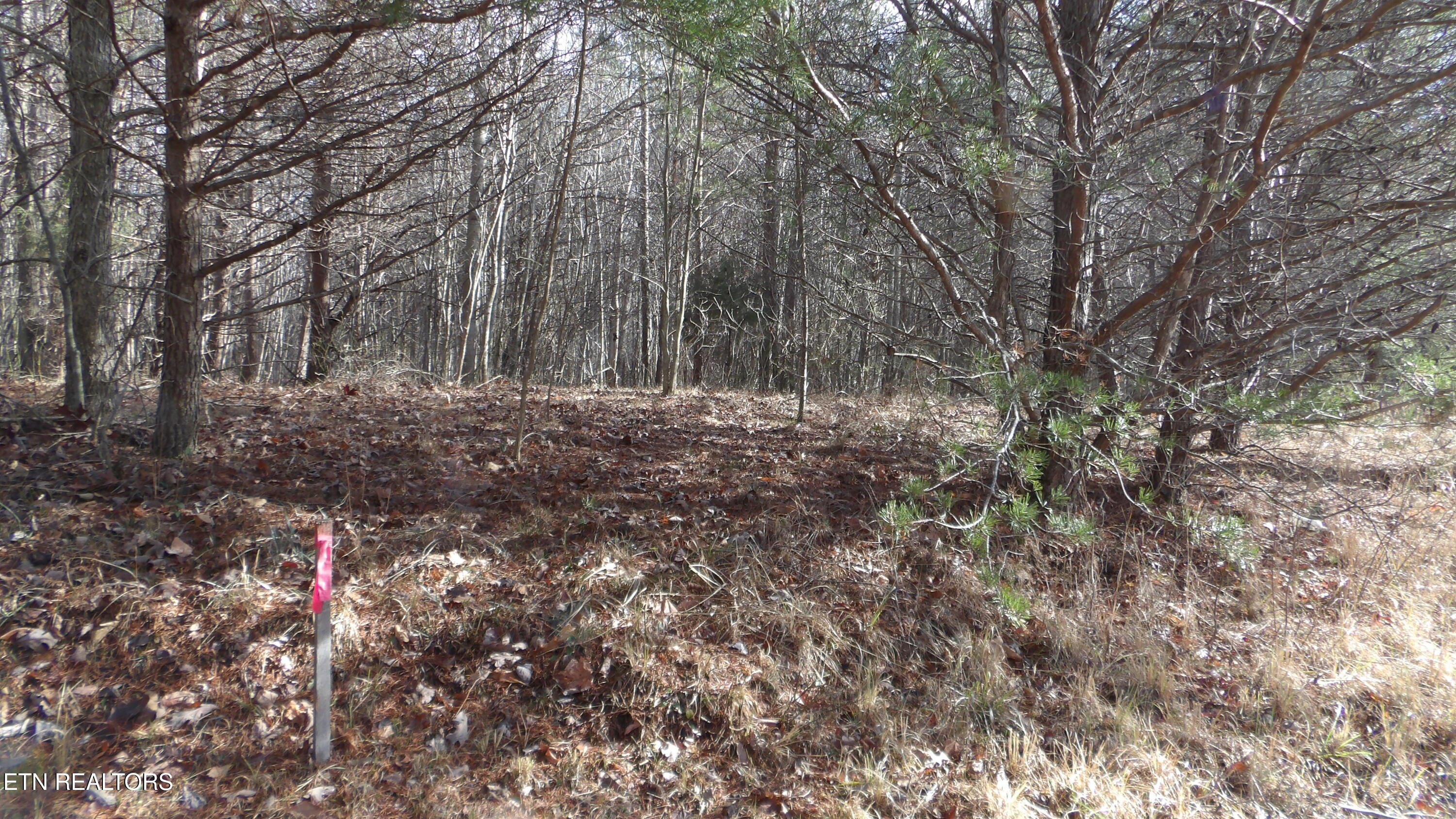 Lot 185 Meadow Lane Spencer TN 38585