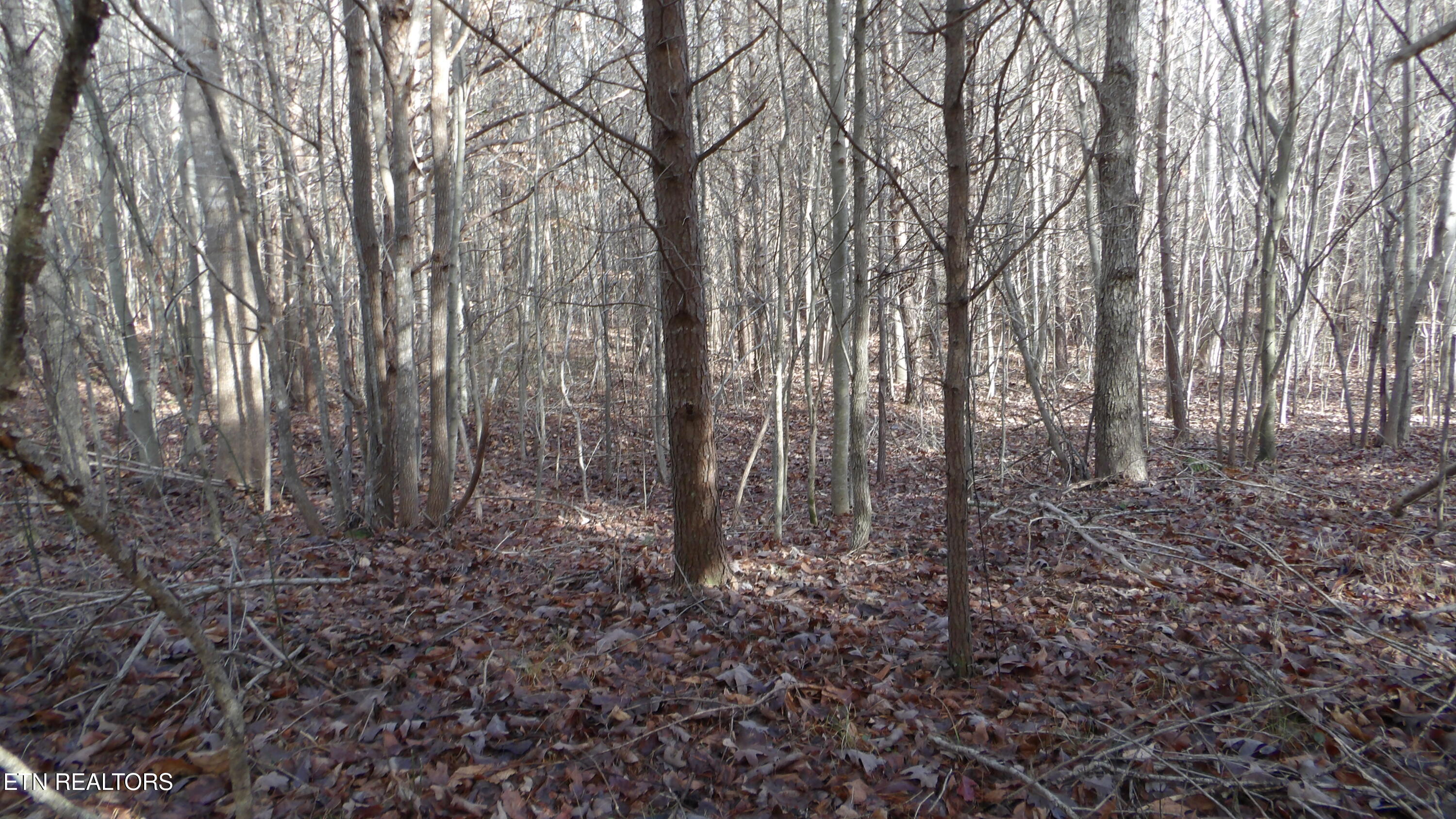 Lot 185 Meadow Lane Spencer TN 38585