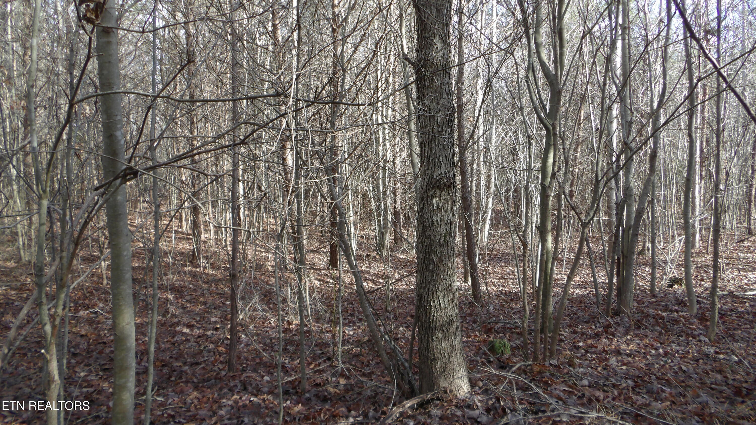 Lot 185 Meadow Lane Spencer TN 38585