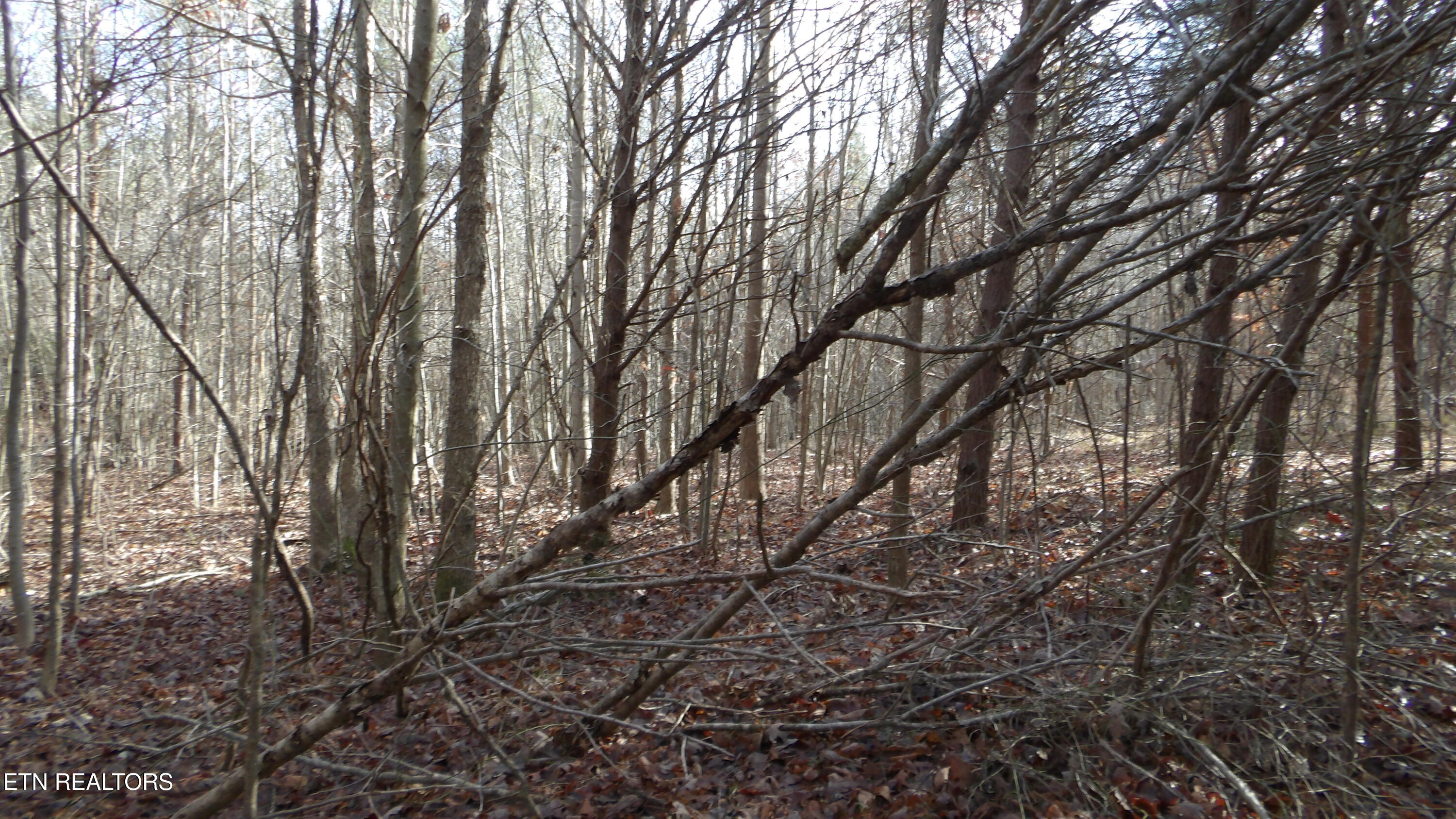 Lot 185 Meadow Lane Spencer TN 38585