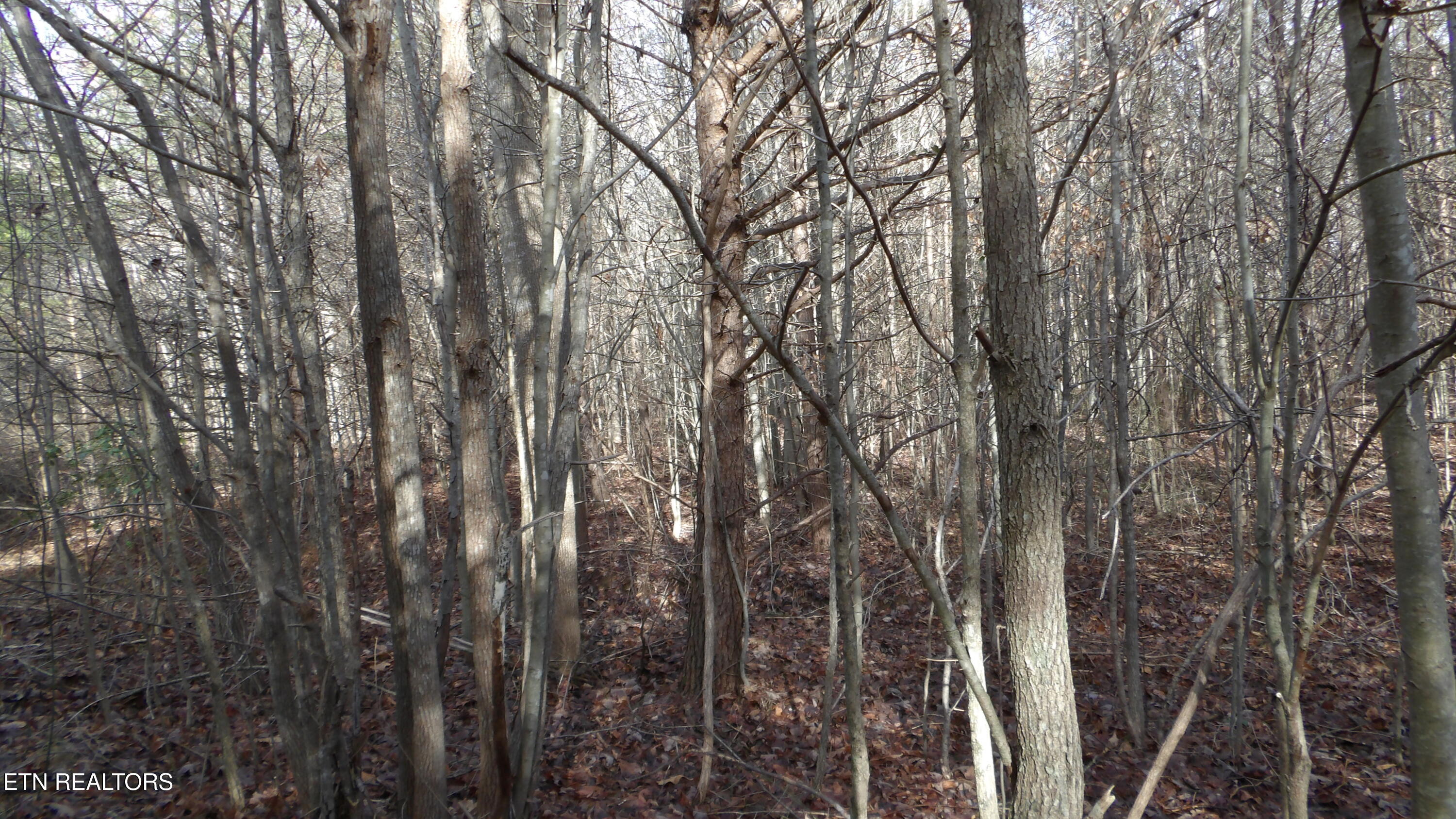 Lot 185 Meadow Lane Spencer TN 38585