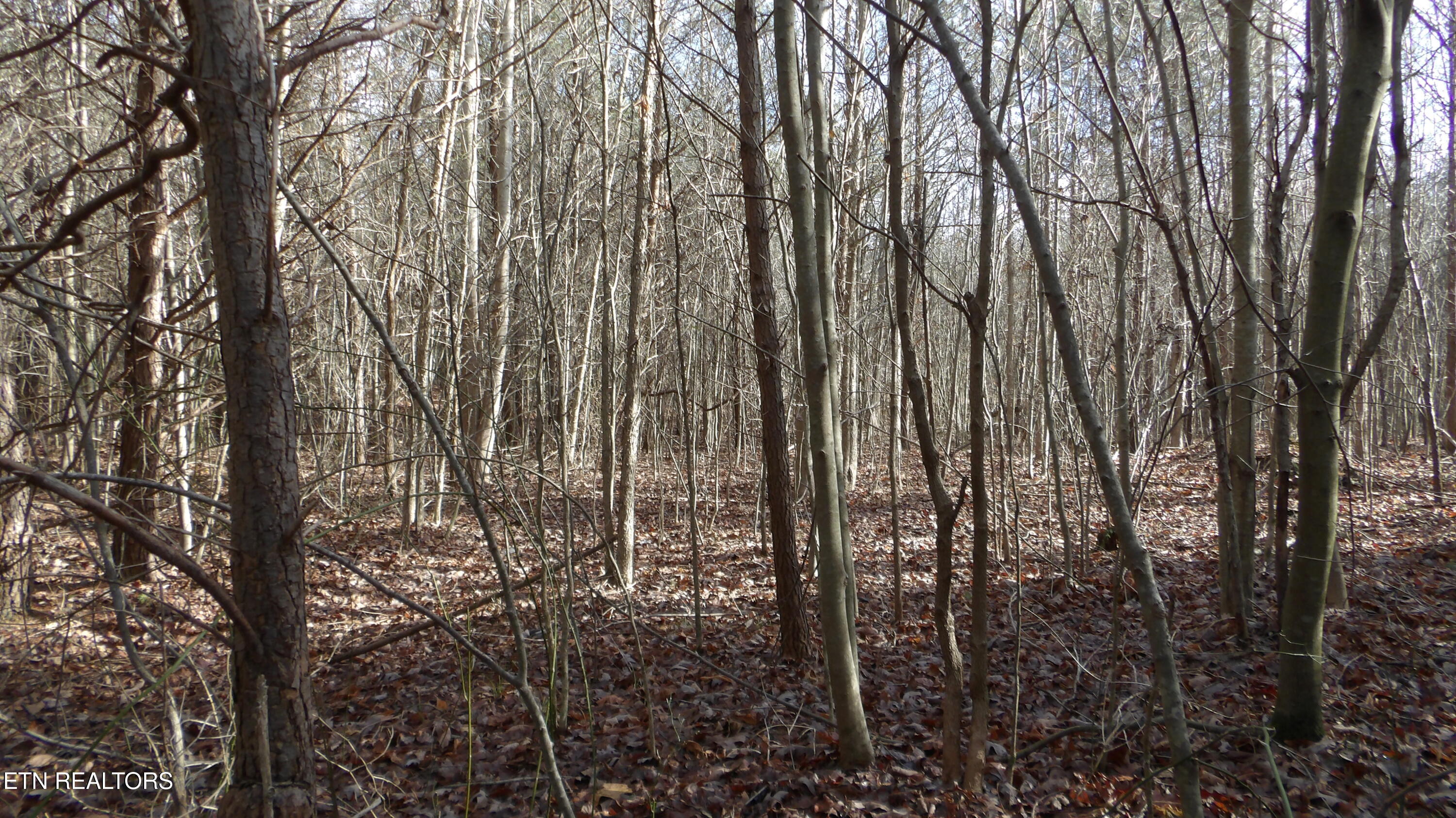 Lot 185 Meadow Lane Spencer TN 38585
