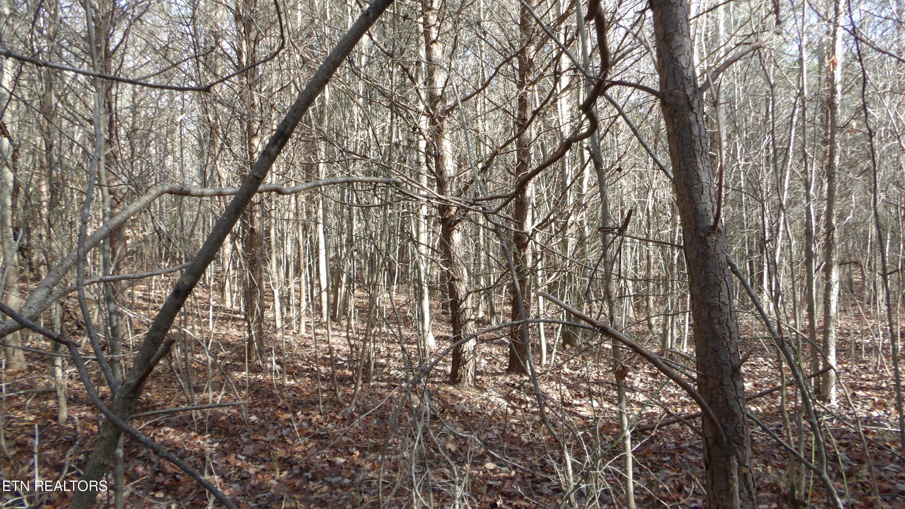 Lot 185 Meadow Lane Spencer TN 38585
