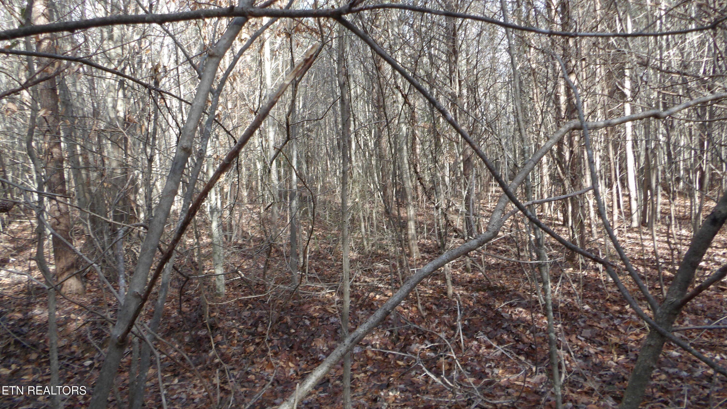 Lot 185 Meadow Lane Spencer TN 38585