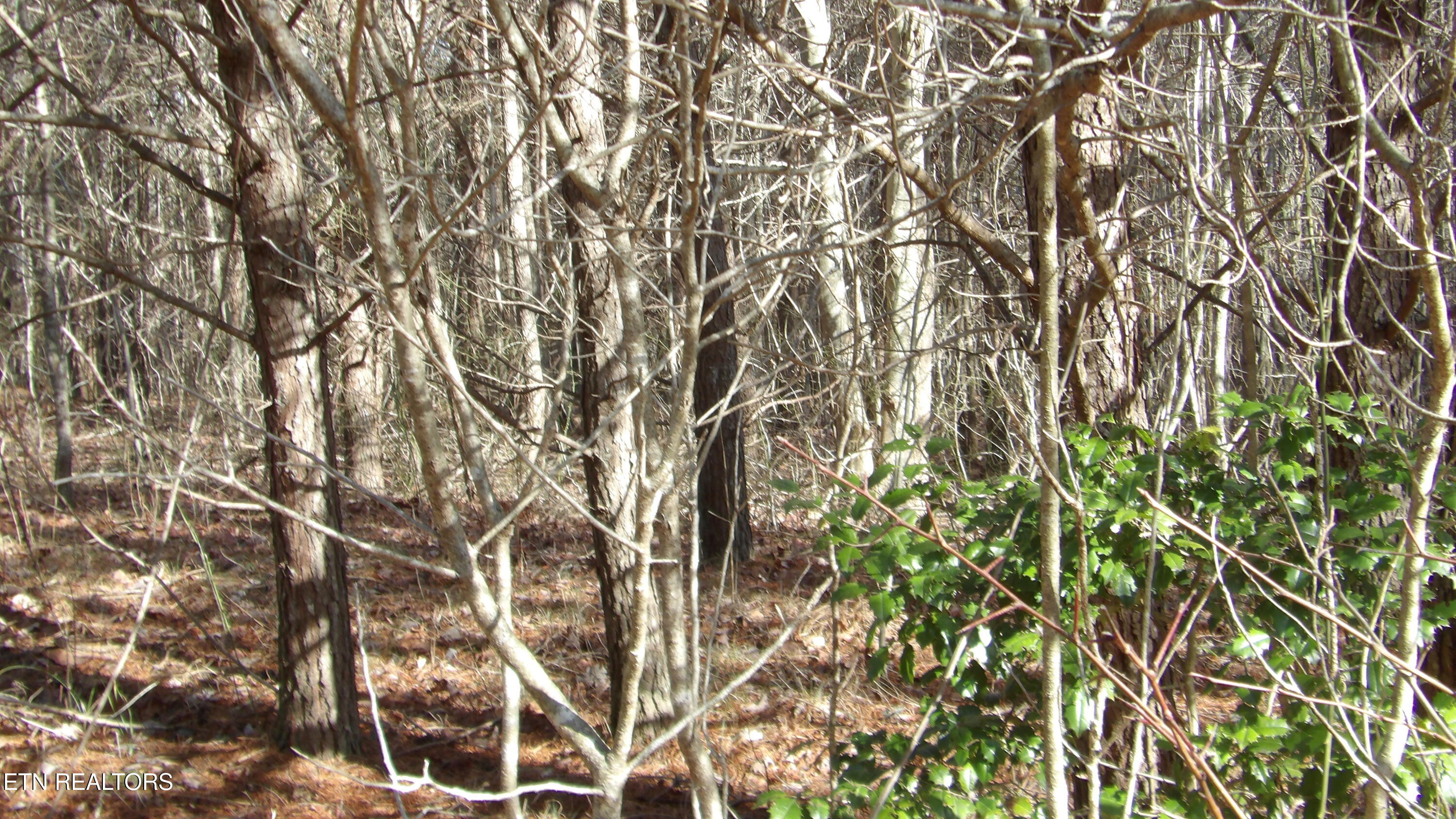 Lot 185 Meadow Lane Spencer TN 38585