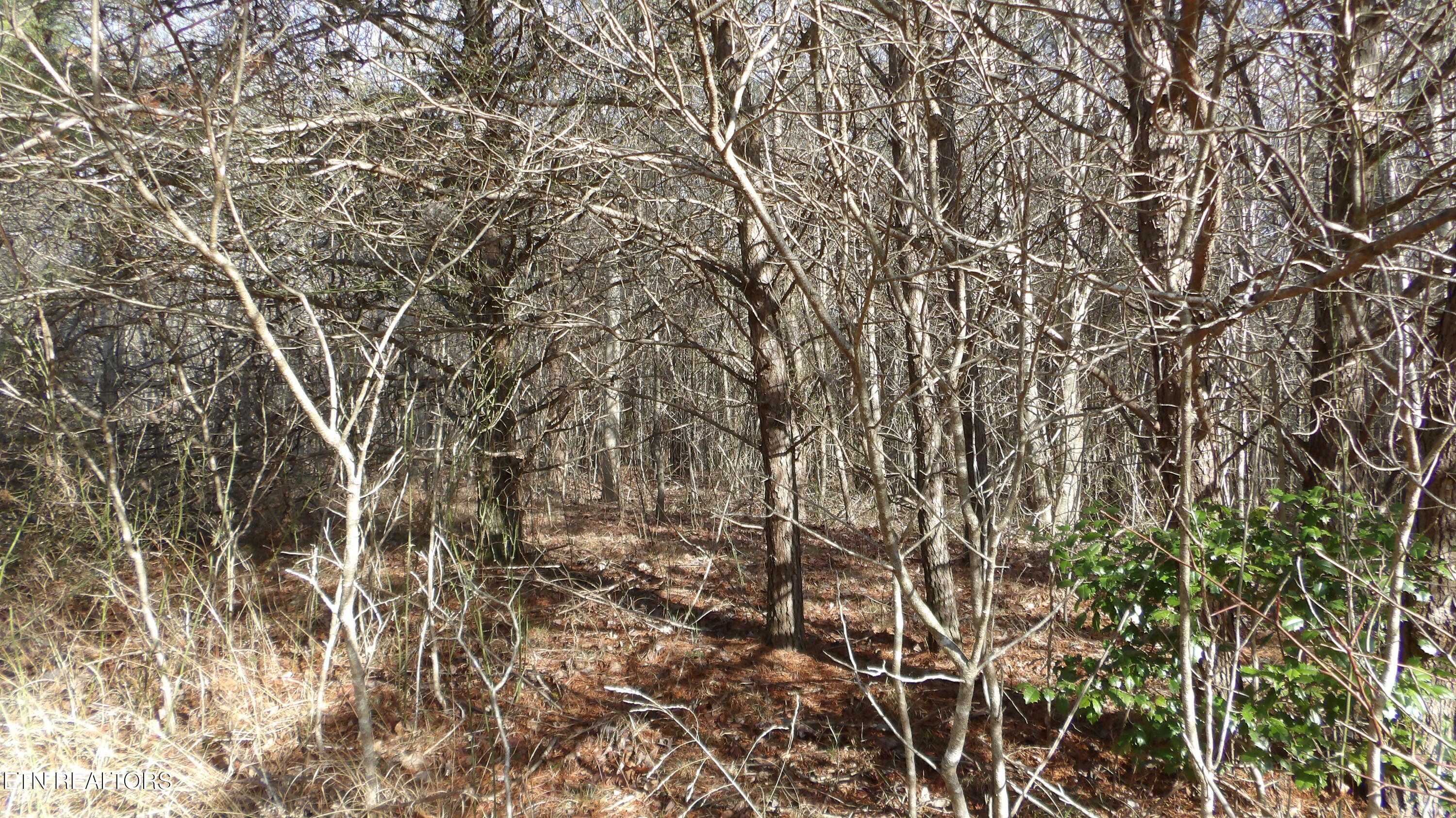 Lot 185 Meadow Lane Spencer TN 38585